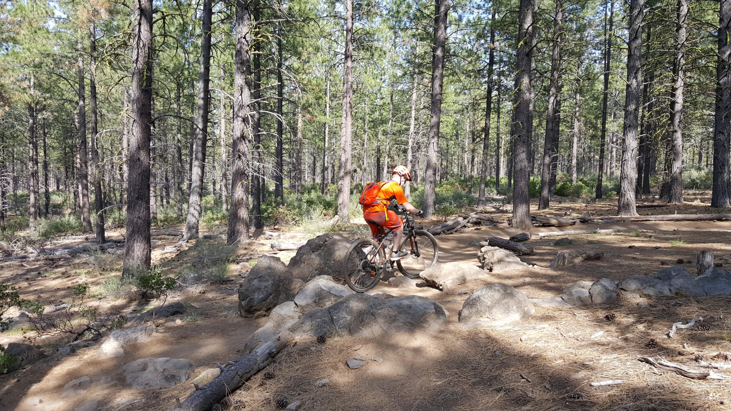 A person in an orange cycling outfit rides a mountain bike over rocky terrain in a forest filled with tall pine trees. Sunlight filters through the branches, illuminating the dirt path and scattered rocks. Phil's Area mountain bike trail.