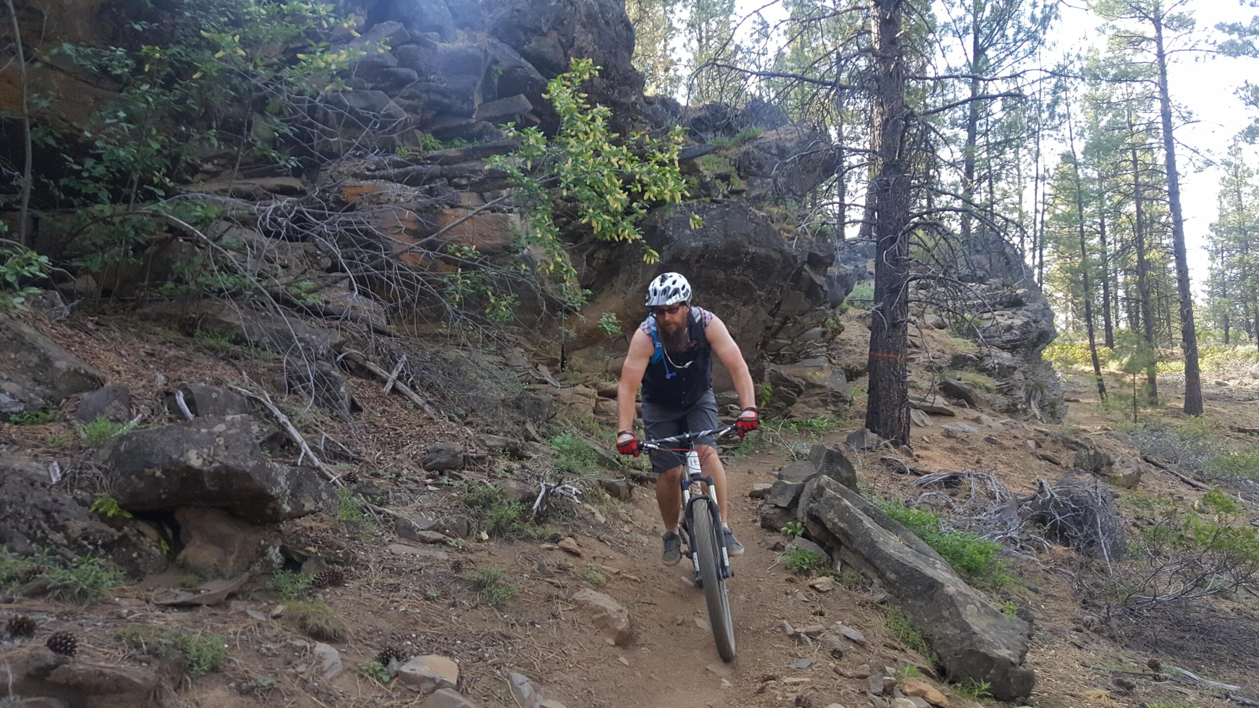 A person riding a mountain bike on a narrow trail surrounded by rocky terrain and tall pine trees. The rider is wearing a helmet and gloves, navigating through a rugged outdoor environment. Phil's Area mountain bike trail.