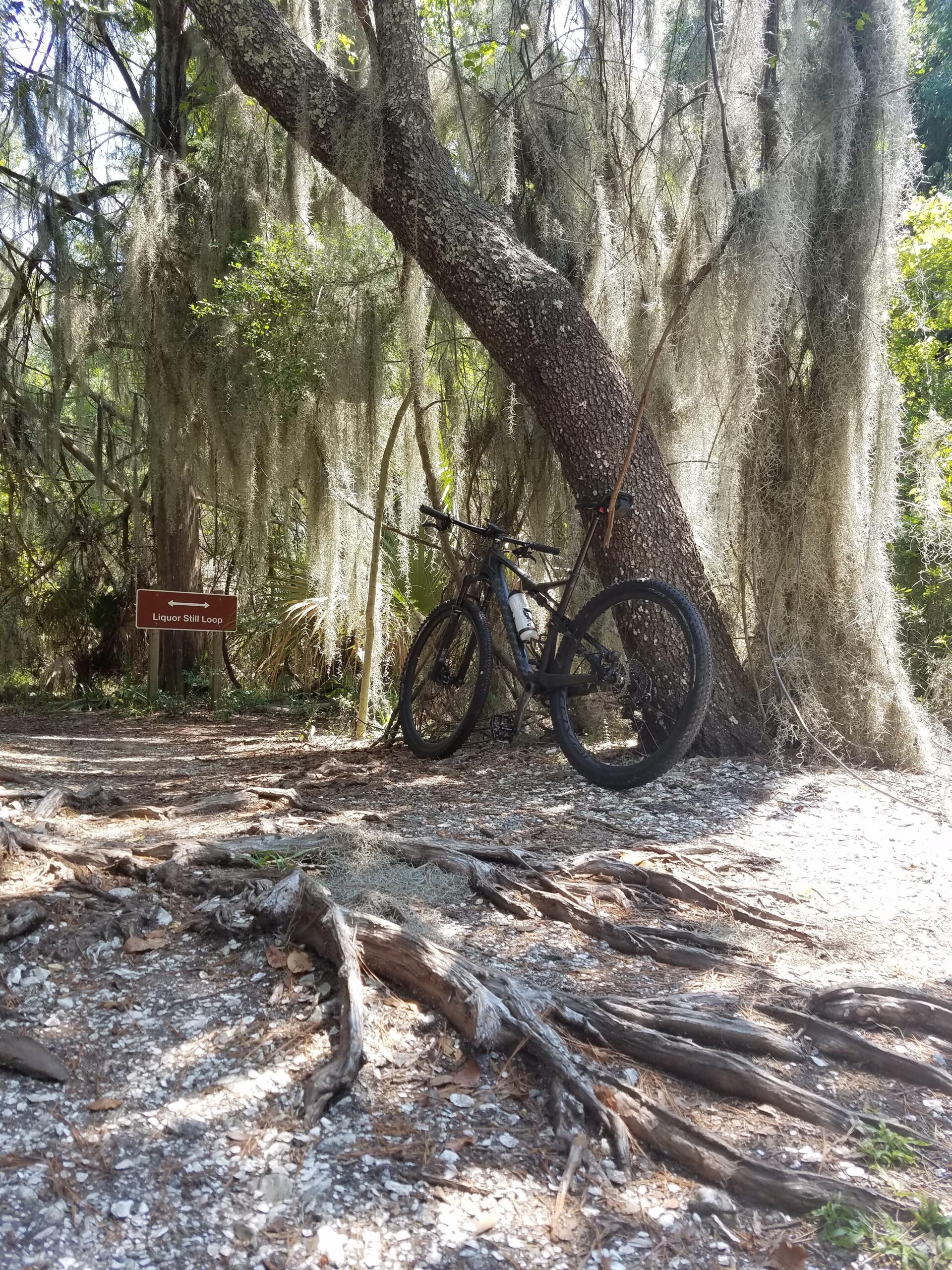 Specialized Epic Expert Carbon World Cup: A mountain bike leaning against a large tree covered in Spanish moss, with a sign reading "Liquor Still Loop" visible in the foreground. The area is surrounded by a natural forest setting with scattered leaves and tree roots along the ground.