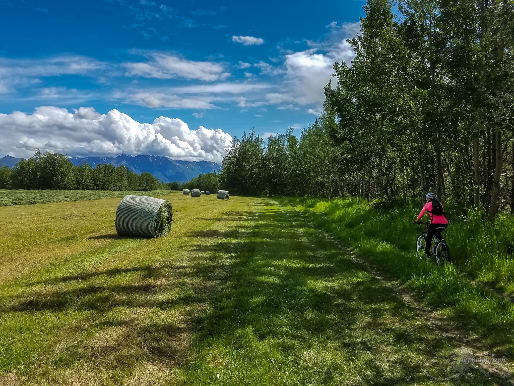 A person in a pink jacket riding a bike on a grassy path surrounded by trees and hay bales, with mountains and a blue sky with fluffy clouds in the background. Kepler-bradley Lakes State Park mountain bike trail.