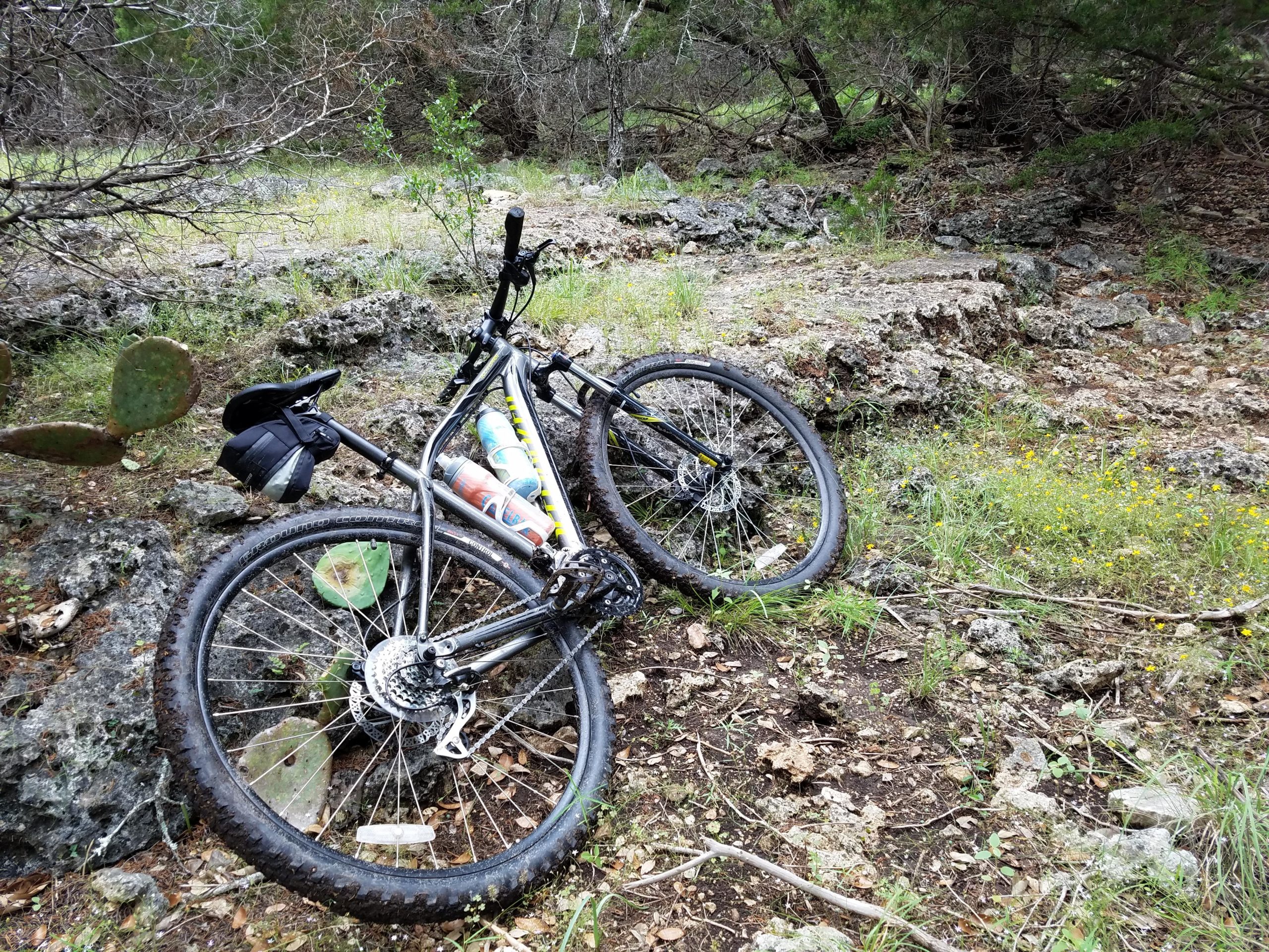 Two mountain bikes are leaning against rocks in a grassy area surrounded by trees and cacti. The scene showcases a natural landscape, indicating an outdoor biking location. Goodwater Trail mountain bike trail.