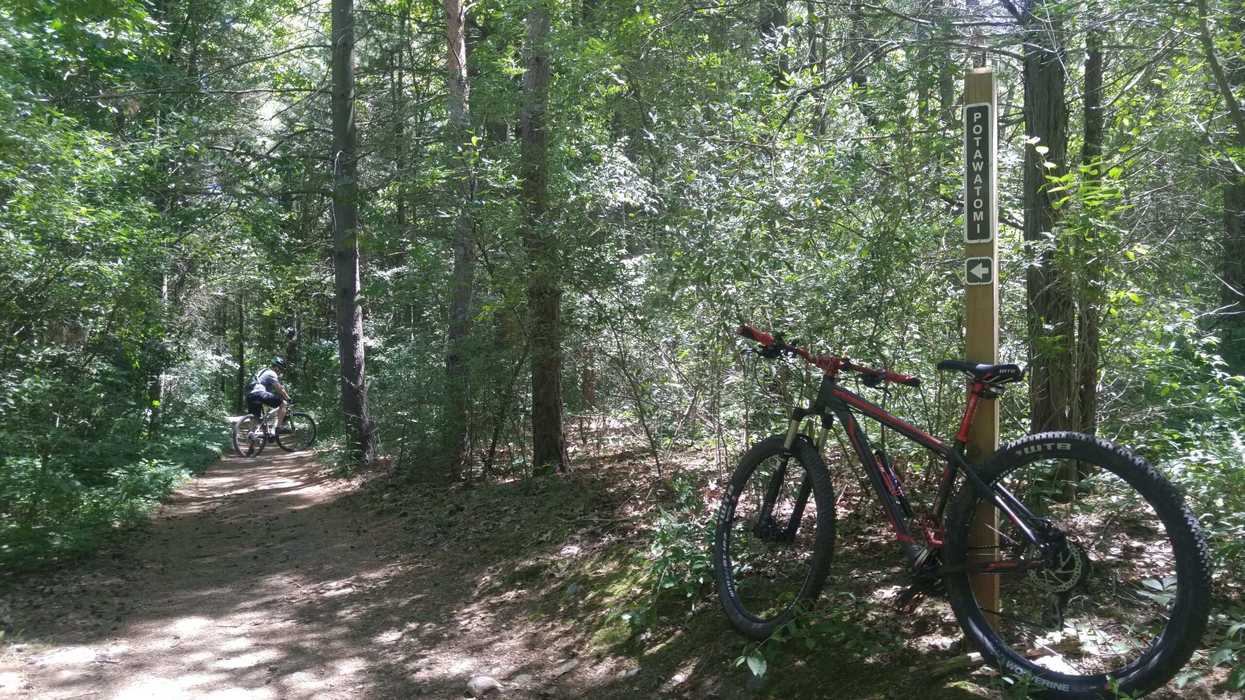 A mountain bike leaning against a trail sign in a lush, green forest. A cyclist can be seen riding along a winding dirt path surrounded by dense foliage. Dappled sunlight filters through the trees, creating a serene outdoor atmosphere. The trail sign indicates the Potawatom trail direction. Potawatomi trail mountain bike trail.