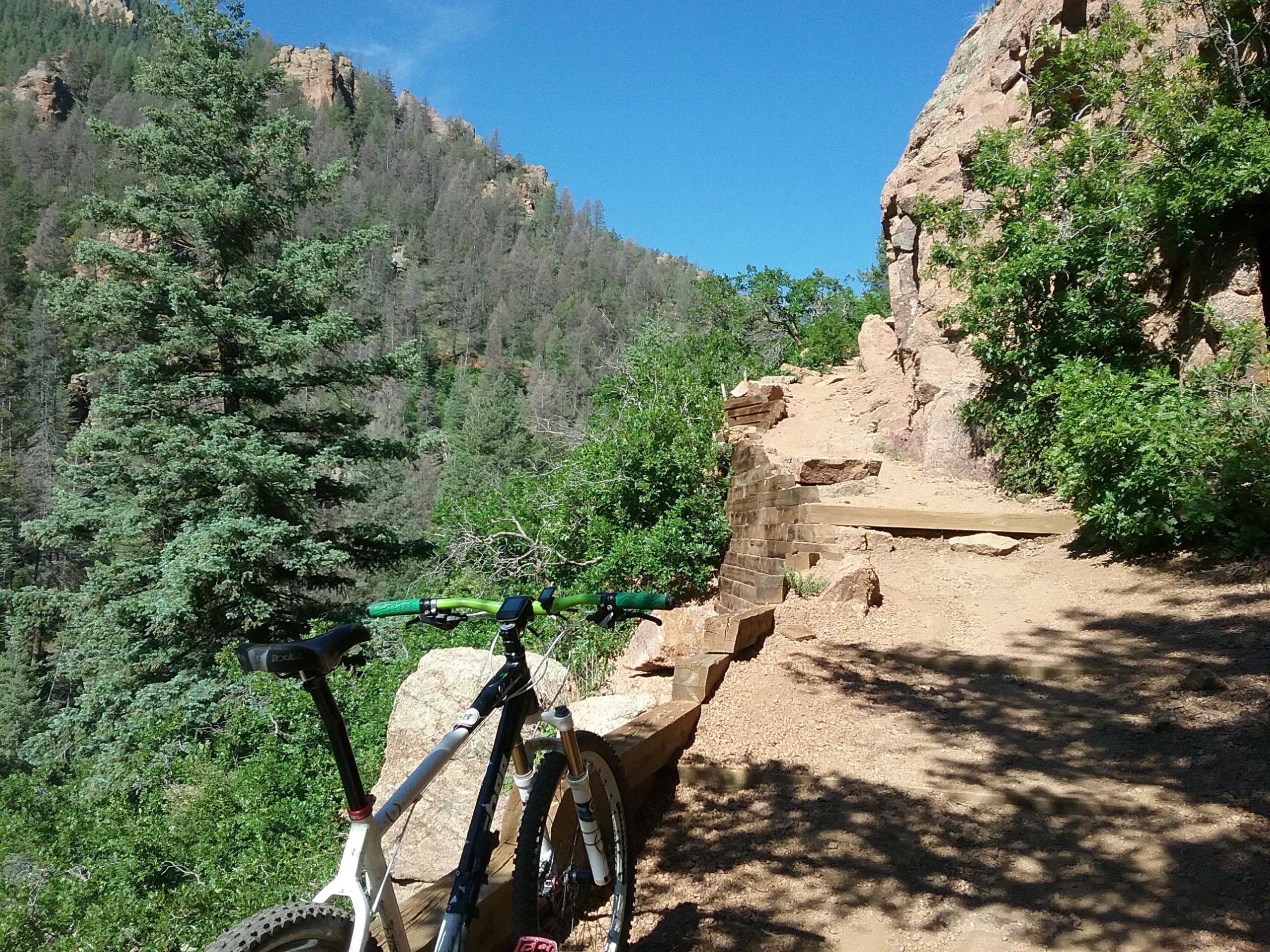 A mountain bike resting on a rocky trail surrounded by lush greenery and tall trees, with a clear blue sky in the background. The path appears to be narrow and winding, leading further into the mountainous landscape. Columbine mountain bike trail.