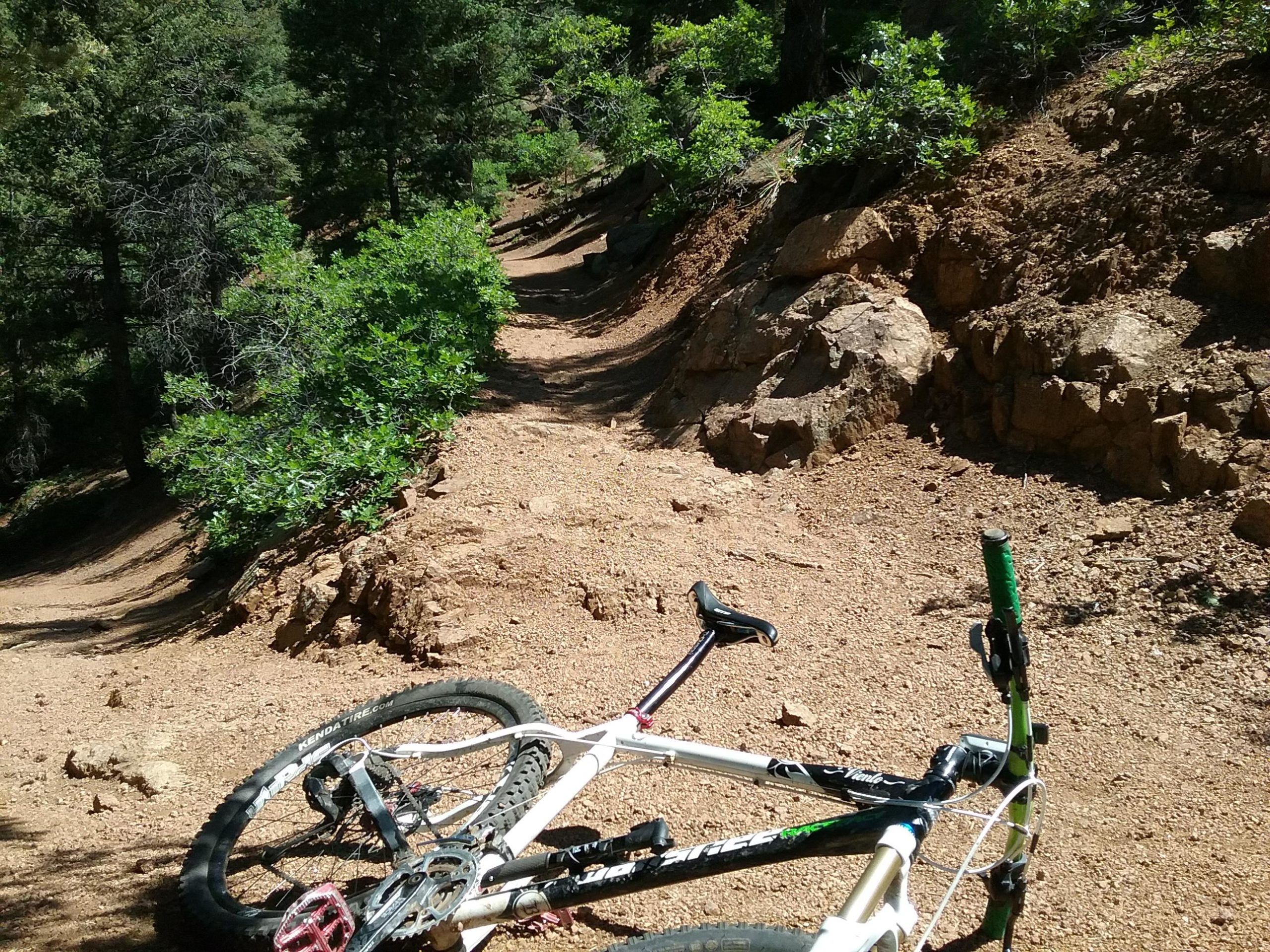 A mountain bike lying on a dirt trail surrounded by trees and shrubs, with a rocky terrain visible in the background. The trail winds gently through the forest, suggesting a scenic outdoor environment. Columbine mountain bike trail.