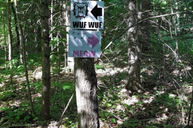 A wooden tree in a forest setting with two signs attached. The top sign features a bulldog silhouette and the text "WUF WUF" with an arrow pointing left. The bottom sign shows cat paw prints and the text "MEOW" with an arrow pointing right. Surrounding foliage includes green leaves and sunlight filtering through the trees. Erin Trail System mountain bike trail.