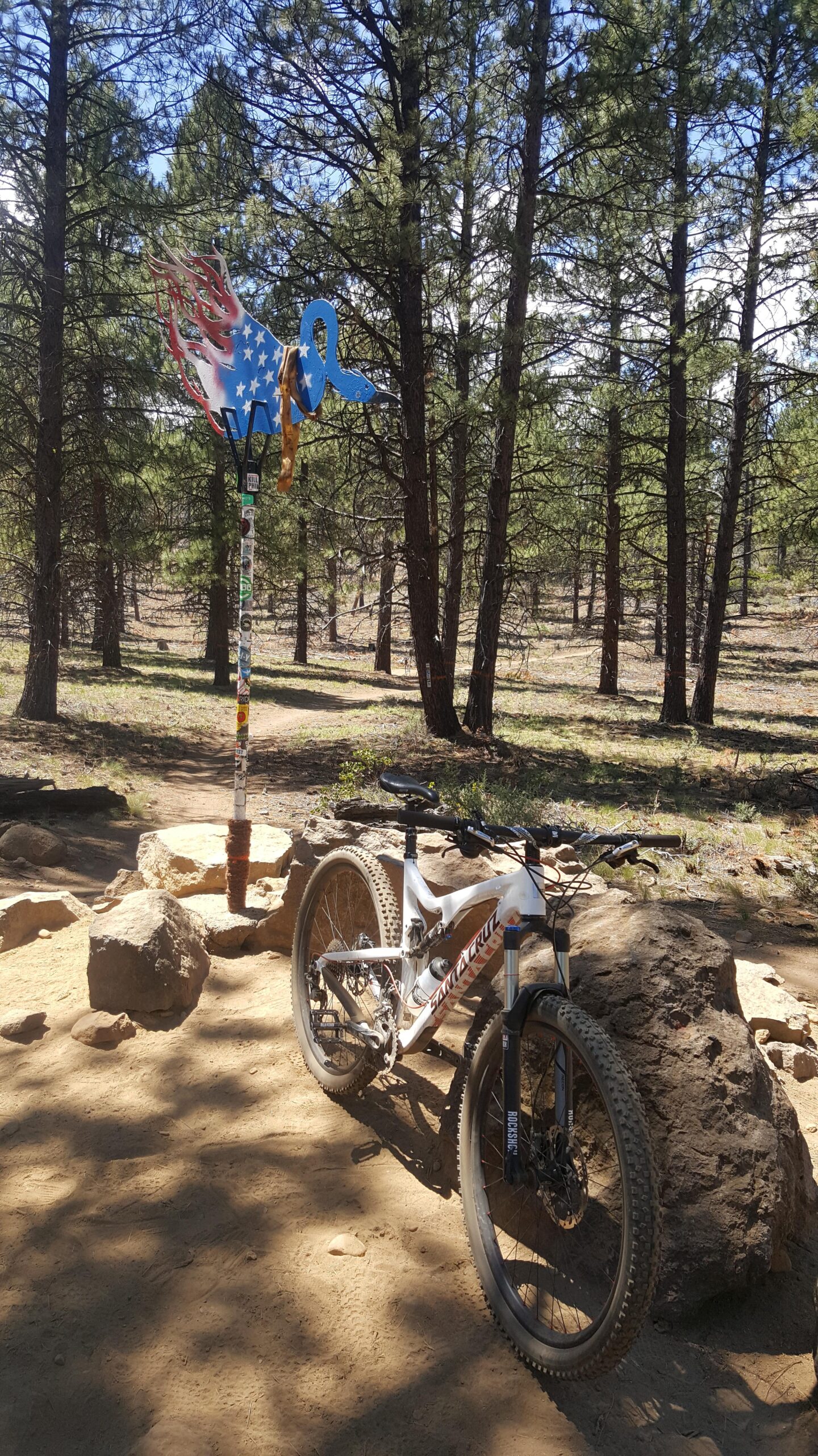 A mountain bike rests against a large rock on a dirt trail surrounded by tall pine trees. In the background, a whimsical, colorful sculpture of a duck with flames and stars can be seen mounted on a post adorned with stickers. The scene captures a sunny day in a wooded area, emphasizing outdoor adventure and creativity. Phil's Area mountain bike trail.