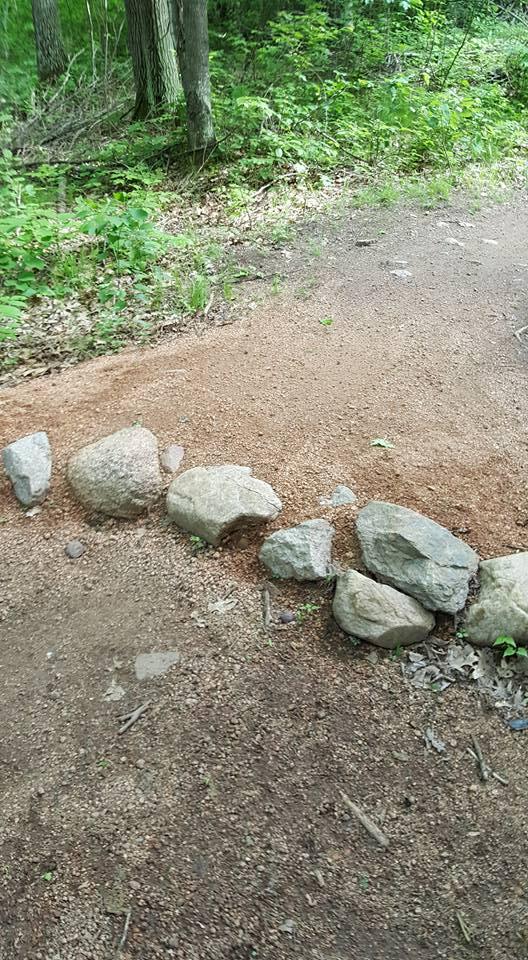 A rocky barrier along a natural, unpaved trail in a forested area, surrounded by green foliage and trees. The ground is a mixture of dirt and gravel, with several large stones arranged in a line. Nine Mile mountain bike trail.