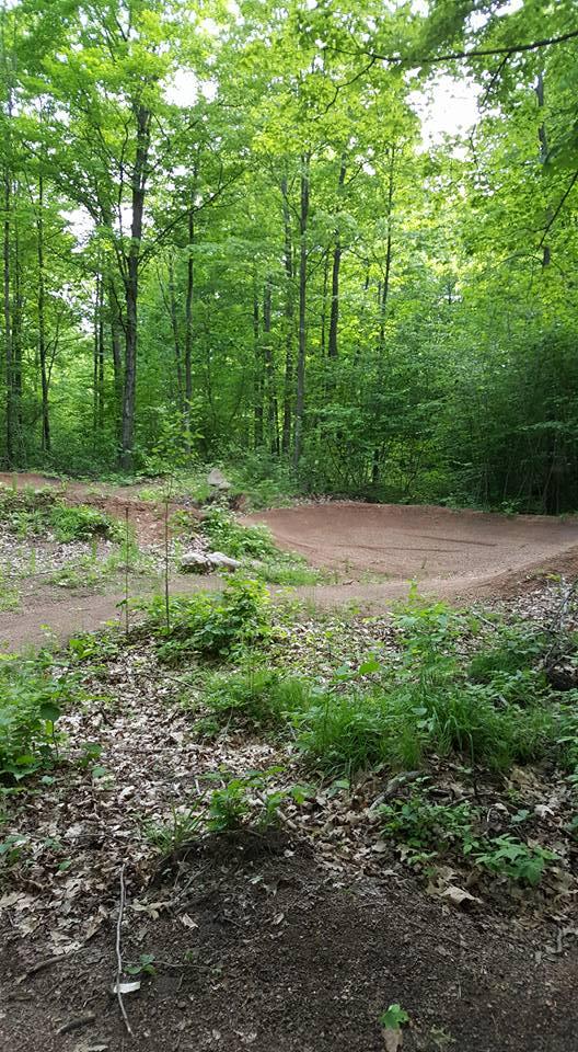 A dirt biking track surrounded by lush green trees in a forested area. The ground is slightly uneven with some small plants and leaves scattered around, indicating a natural, outdoor environment. Nine Mile mountain bike trail.