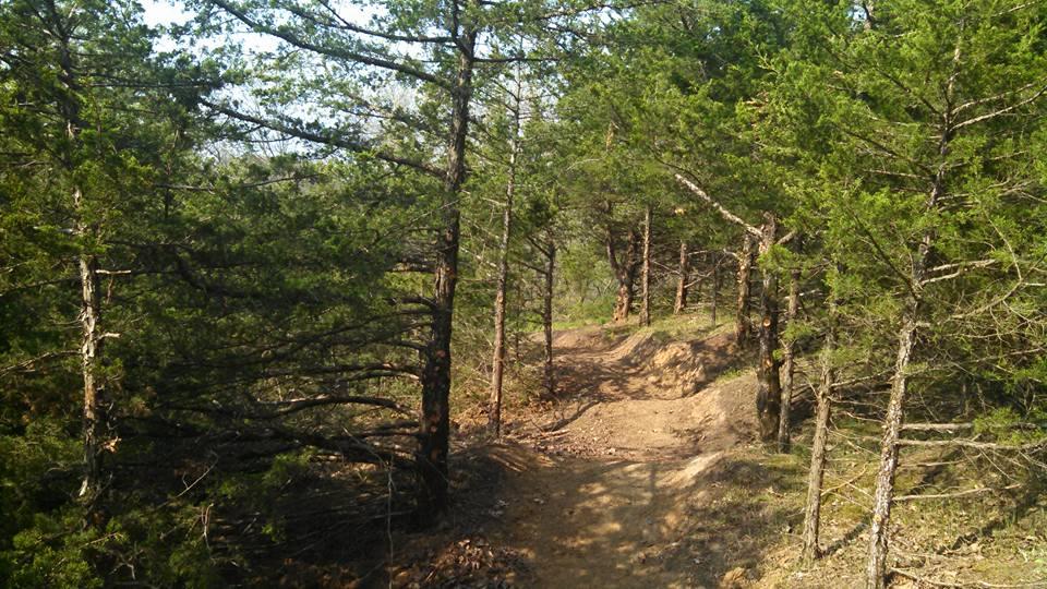 A dirt path winding through a dense forest, flanked by tall green trees. The sunlight filters through the branches, creating a serene and inviting atmosphere in nature. Bobcat Trail mountain bike trail.