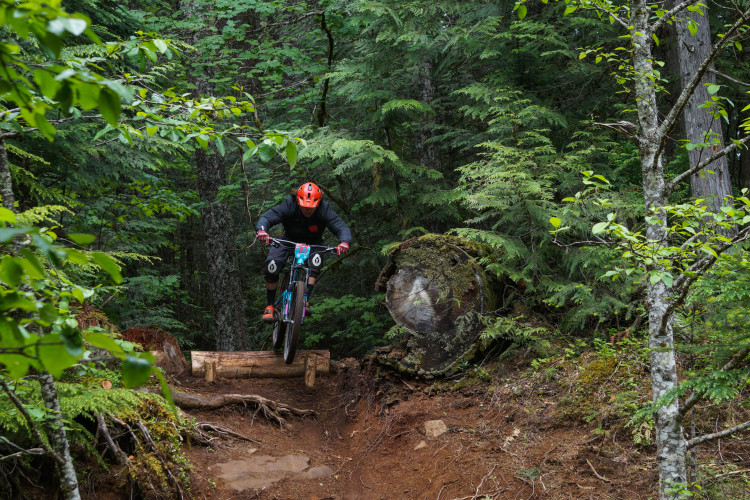 A mountain biker in an orange helmet jumps over a wooden log on a dirt trail surrounded by lush green trees in a forest.