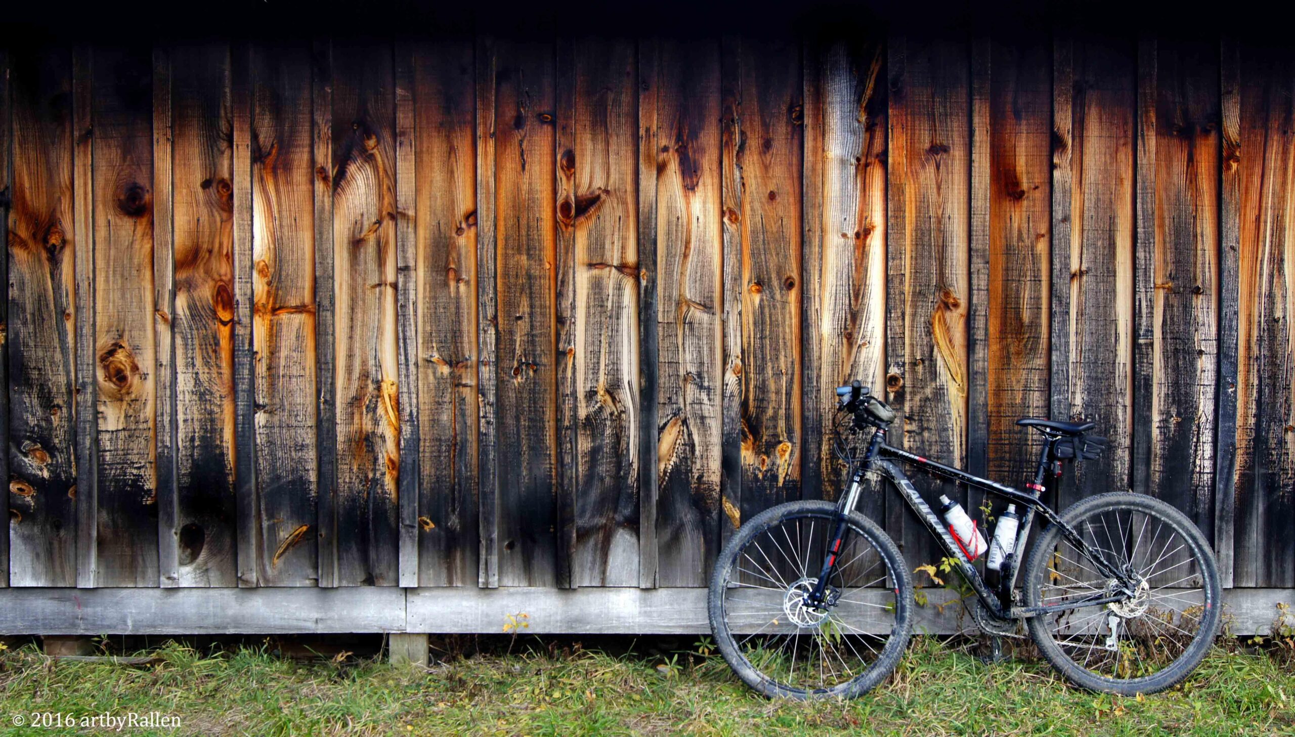 Cannondale Trail 29er 5: A black mountain bike leaning against a charred wooden fence, with visible grain and burn marks, set against a backdrop of grass.