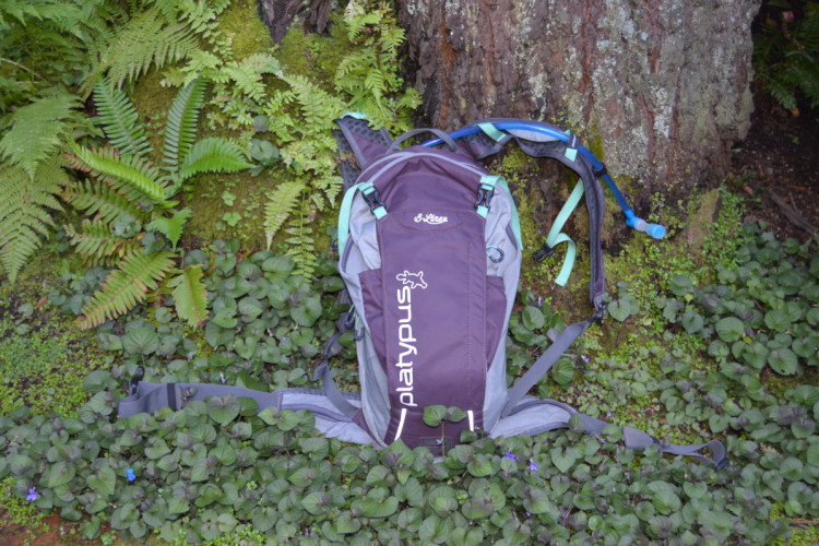 A hydration backpack resting on lush green foliage, with a background of ferns and a tree trunk. The backpack features a dark purple body with gray accents and the logo "platypus" prominently displayed. The hydration tube is visible, indicating its use for outdoor activities.