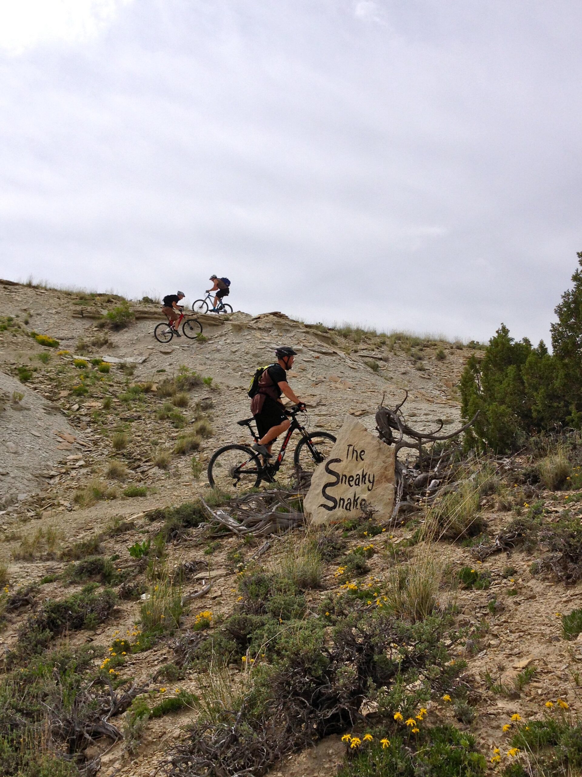A mountain biker navigating a rugged trail with a sign that reads "The Sneaky Snake." Two other cyclists are seen riding up the slope in the background, surrounded by sparse vegetation and a cloudy sky. Tnt mountain bike trail.