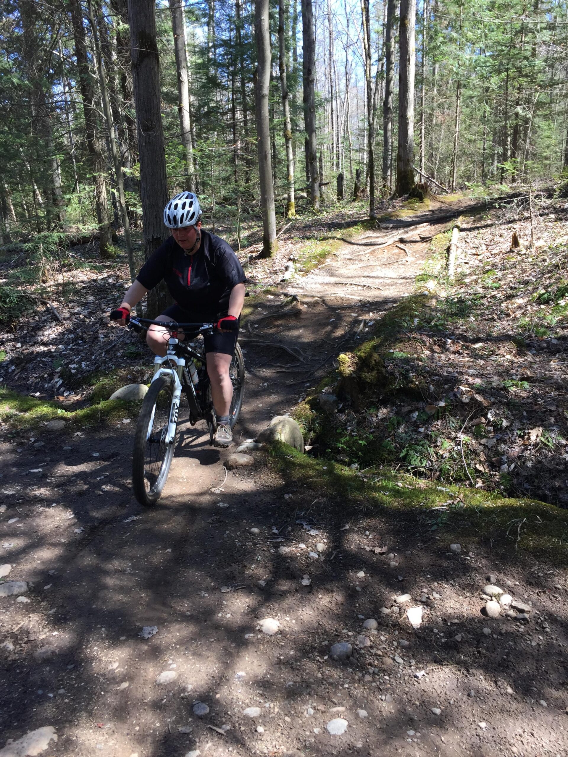 A person cycling on a mountainous trail surrounded by tall trees and greenery, navigating over a rocky path in a sunny outdoor environment. Buckwallow mountain bike trail.