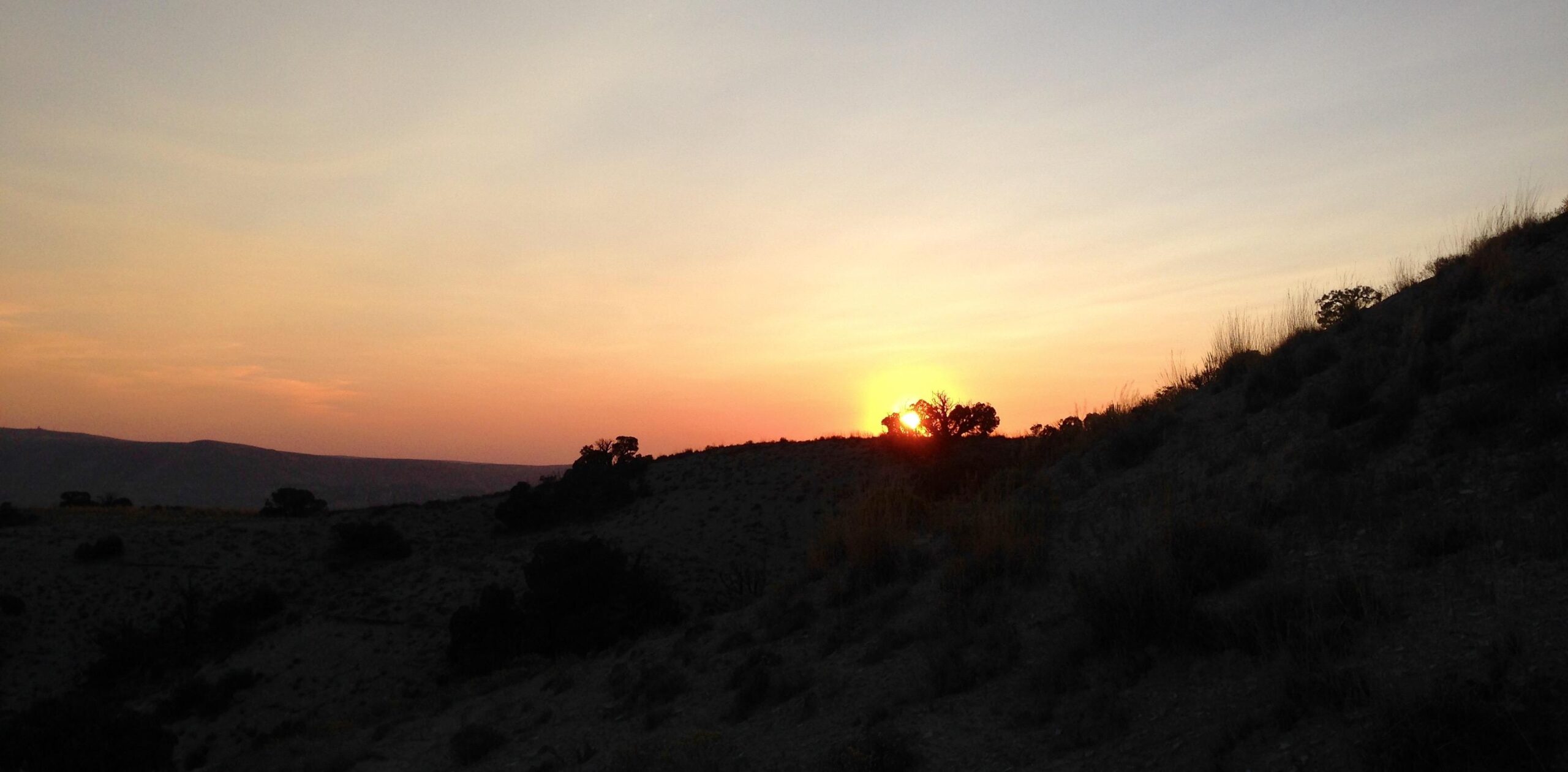 Sunset over a rugged landscape, with hills in silhouette against a colorful sky featuring shades of orange, pink, and blue. The sun is partially hidden behind the trees at the horizon, casting a warm glow across the scene. Wilkins Peak Trails mountain bike trail.