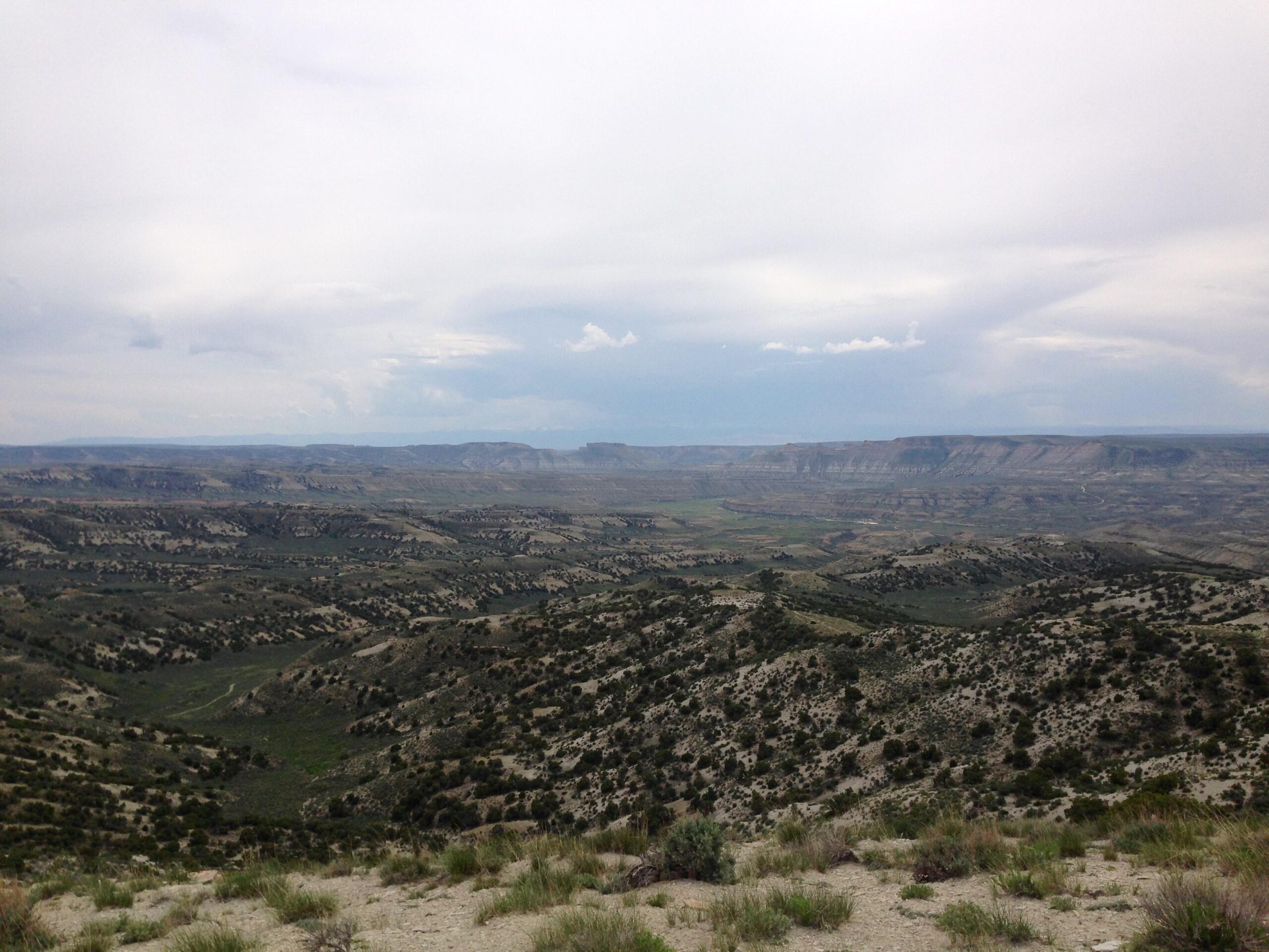 A panoramic view of a rugged landscape featuring rolling hills and distant plateaus under a cloudy sky. The terrain is marked by slopes covered in sparse vegetation, showcasing various earth tones and textures typical of arid regions. Wilkins Peak Trails mountain bike trail.