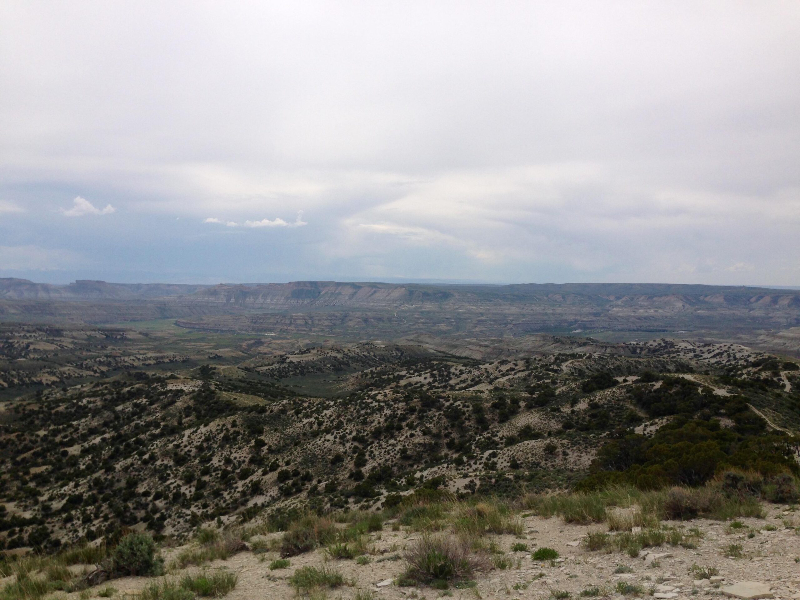 Alt text: A panoramic view of a rugged, mountainous landscape under a cloudy sky, showcasing rolling hills and a valley below, with sparse vegetation in the foreground and layered cliffs in the distance. Wilkins Peak Trails mountain bike trail.
