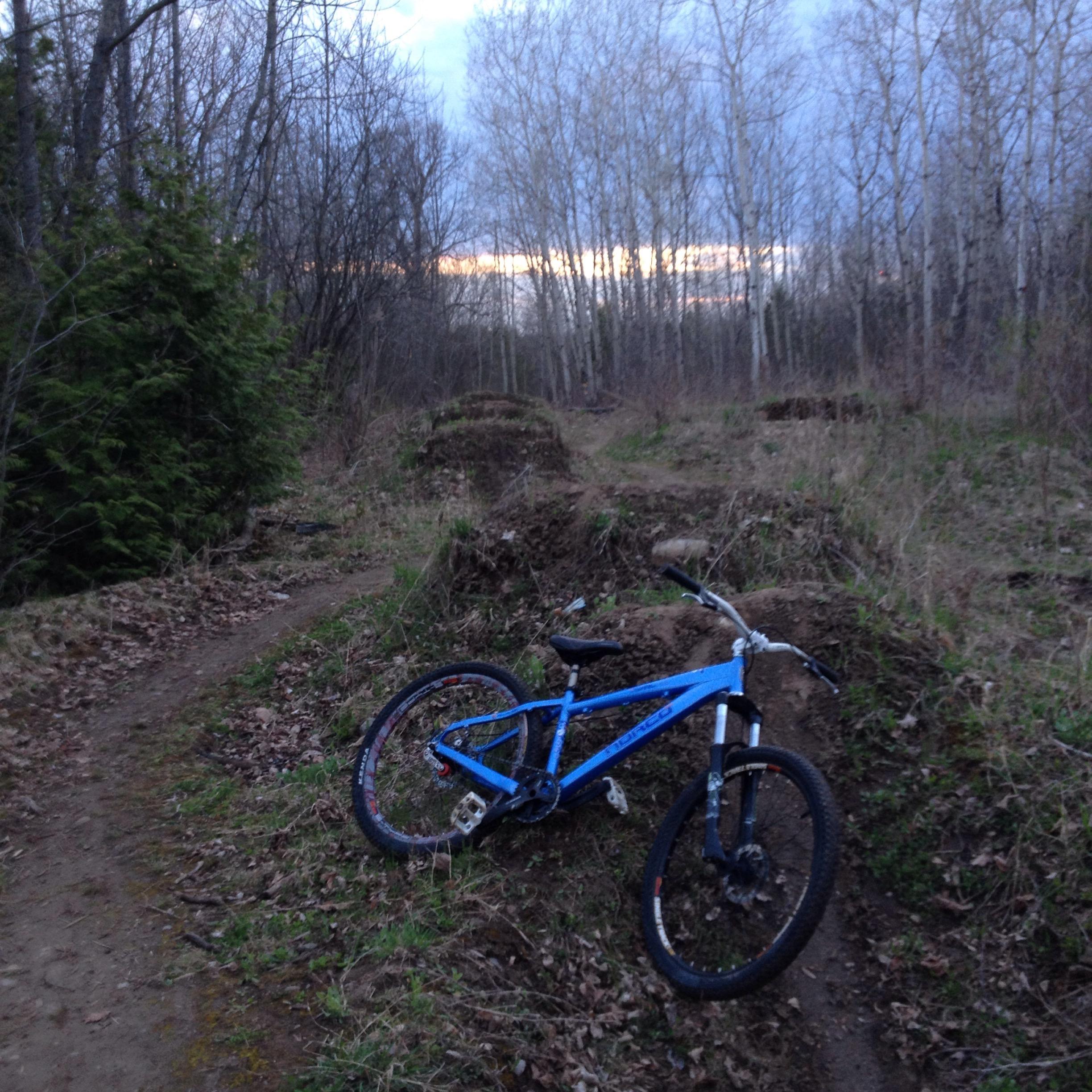A blue mountain bike is leaning on the ground near a dirt trail in a wooded area. The background features trees with sparse leaves and a cloudy sky, indicating dusk. There are dirt jumps in the surrounding area, suggesting a place for biking activities. Jackson Park mountain bike trail.