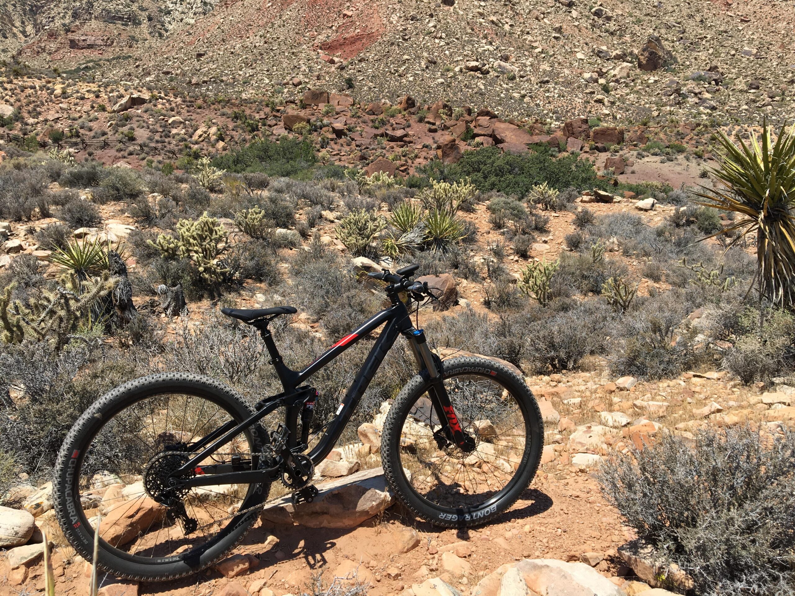 Trek Fuel EX 8: A black mountain bike parked on rocky terrain, surrounded by desert vegetation, including cacti and shrubs, with a rugged hillside in the background.