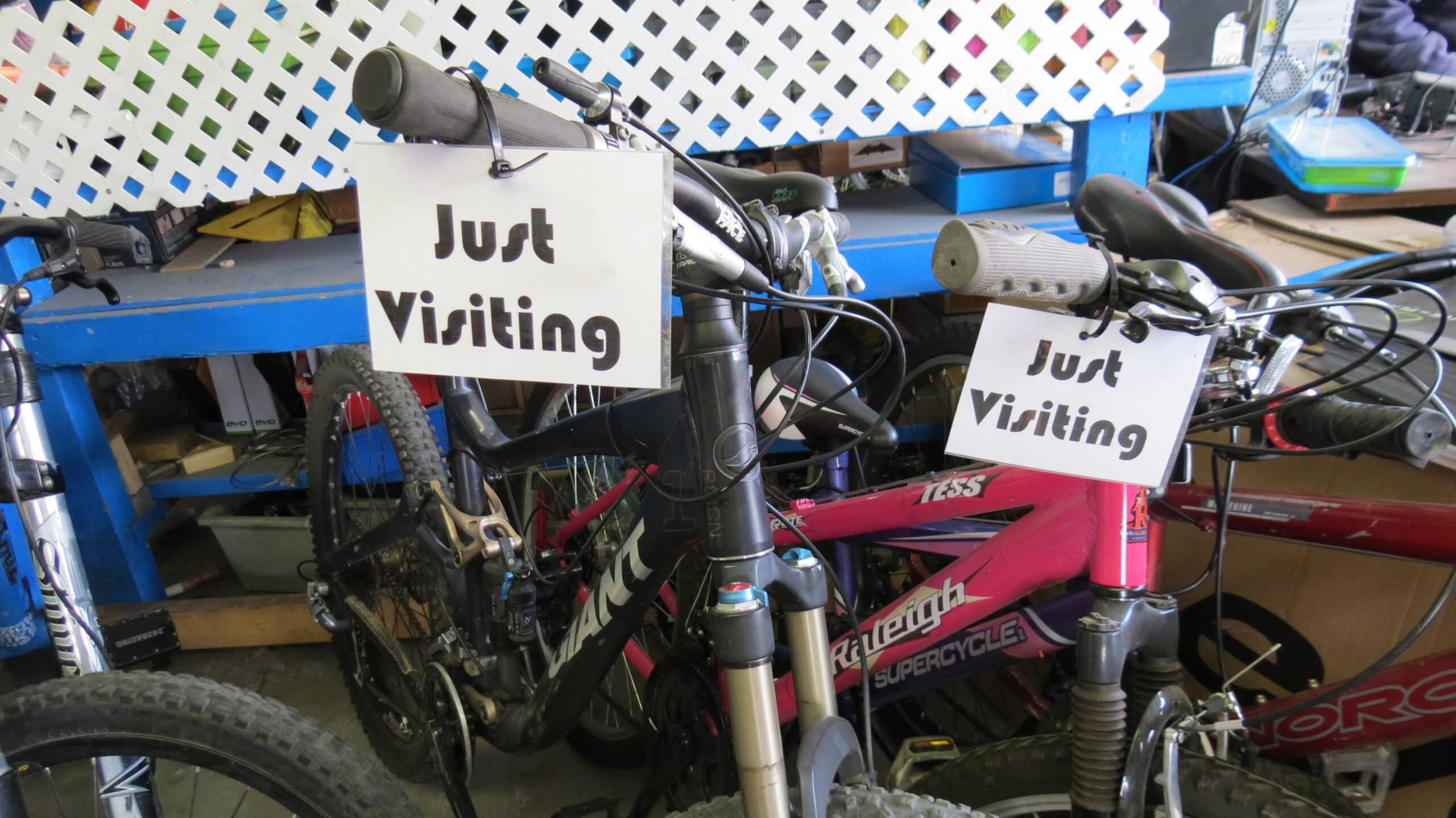 Two bicycles are parked next to each other, each displaying a sign that reads "Just Visiting." The bicycles are positioned in front of a blue workbench with various objects in the background, including additional bicycles and tools.