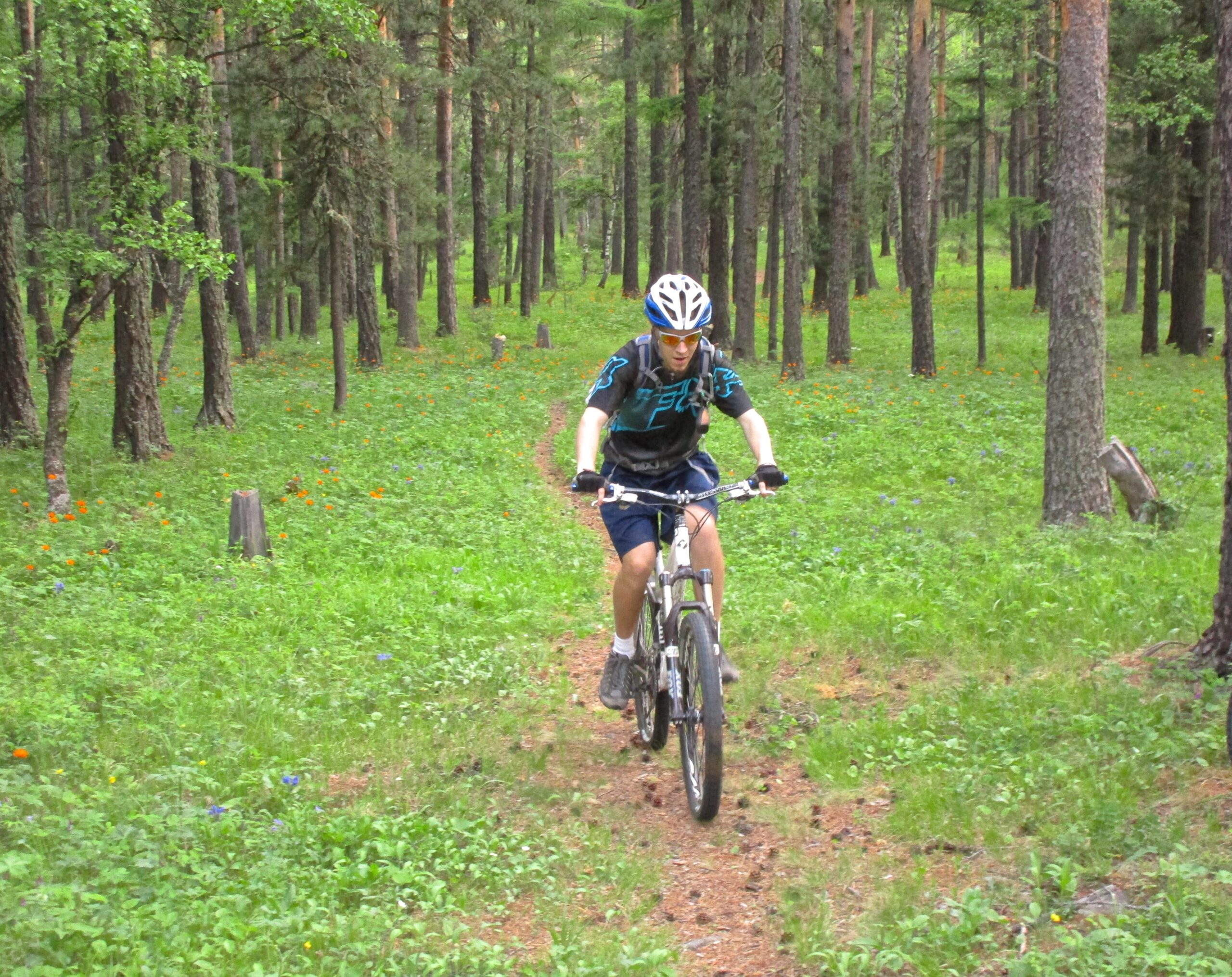 A young man riding a mountain bike on a dirt trail through a lush green forest, surrounded by tall trees and wildflowers in bloom. He is wearing a helmet and athletic gear, focused on navigating the path ahead. Chengeltei Mountain North mountain bike trail.