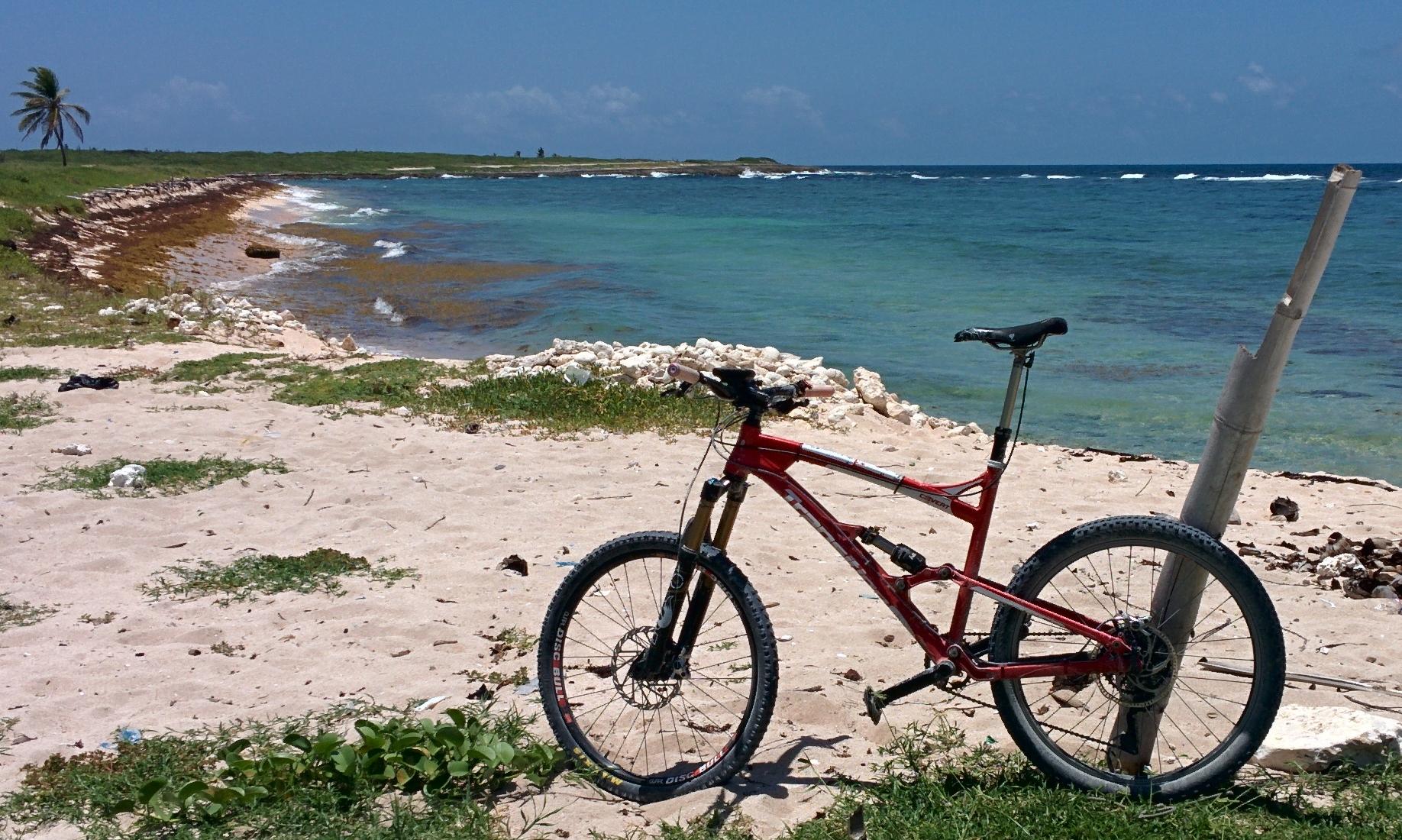 Transition Covert: A red mountain bike parked on a sandy beach, with a clear blue ocean and gentle waves in the background. Lush green grass and plants are visible near the bike, alongside rocky areas along the shore. The sky is bright and sunny, with a few clouds scattered in the distance.