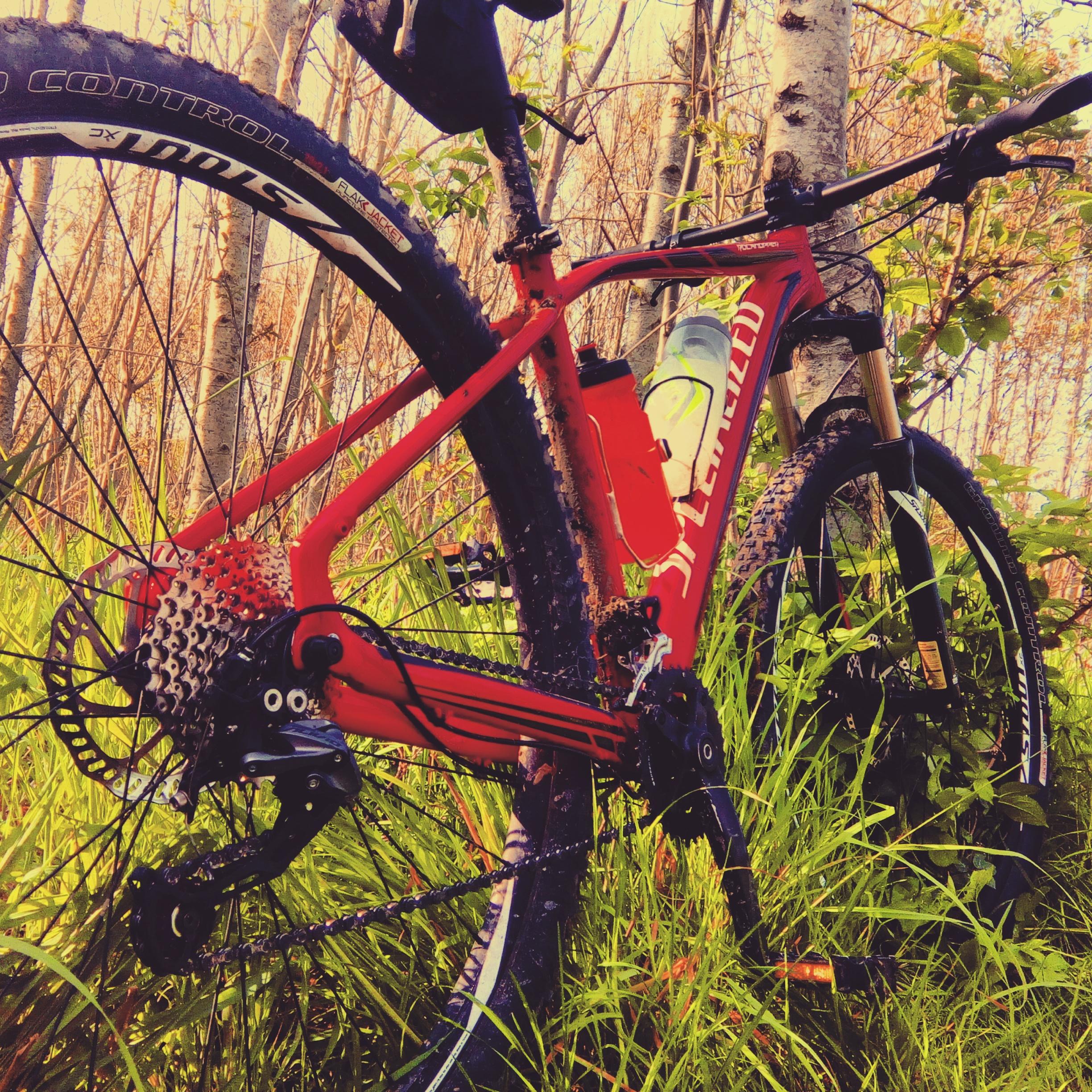 Specialized Rockhopper Comp Disc: A close-up view of a red mountain bike parked in lush green grass, surrounded by trees. The bike features a sleek frame, visible gears, and a water bottle attached. Sunlight filters through the foliage, highlighting the bike's details and the vibrant natural setting.