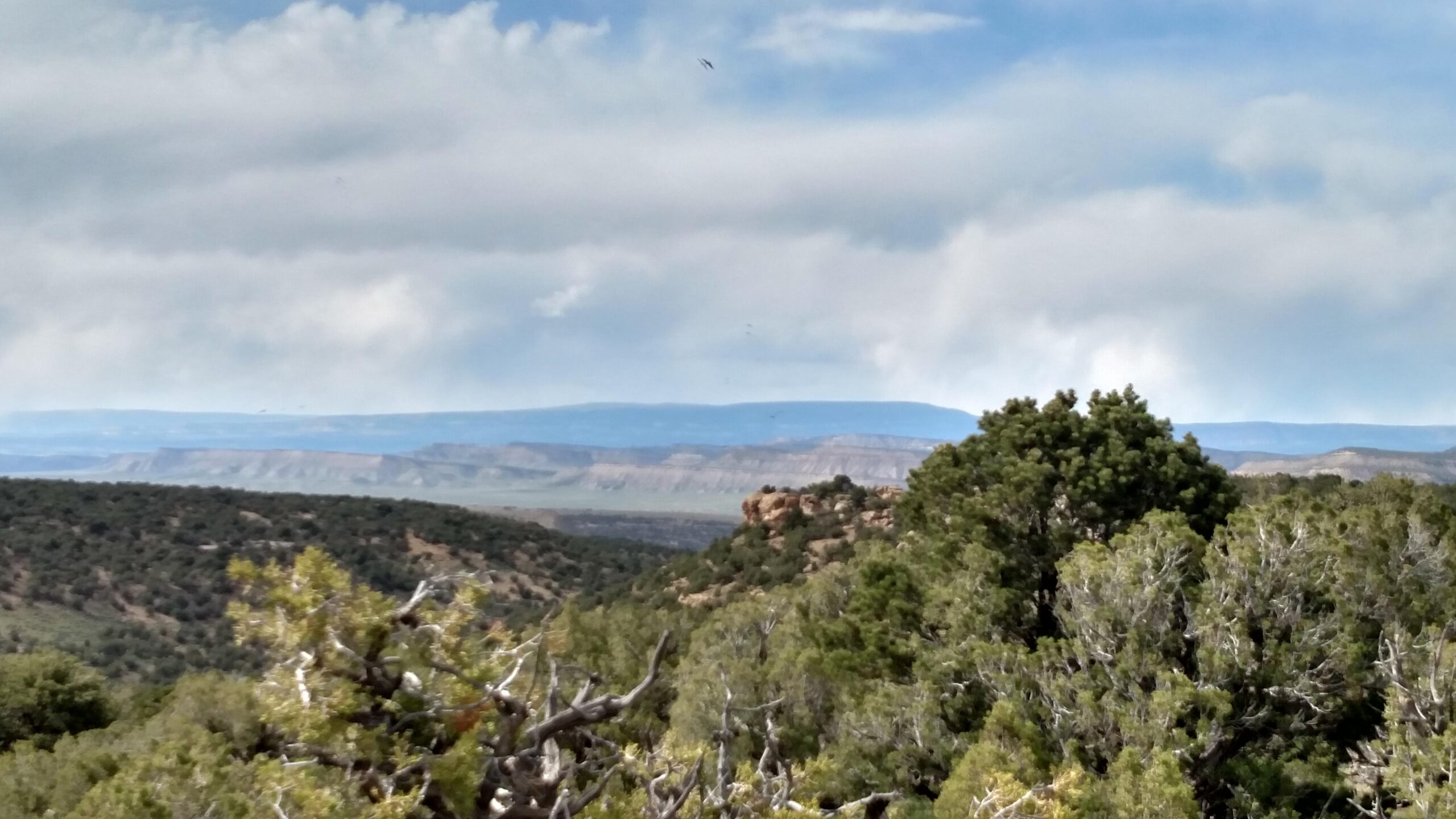 A panoramic view of a mountainous landscape featuring dense greenery in the foreground and distant cliffs under a partly cloudy sky. BLM RD 1042 mountain bike trail.