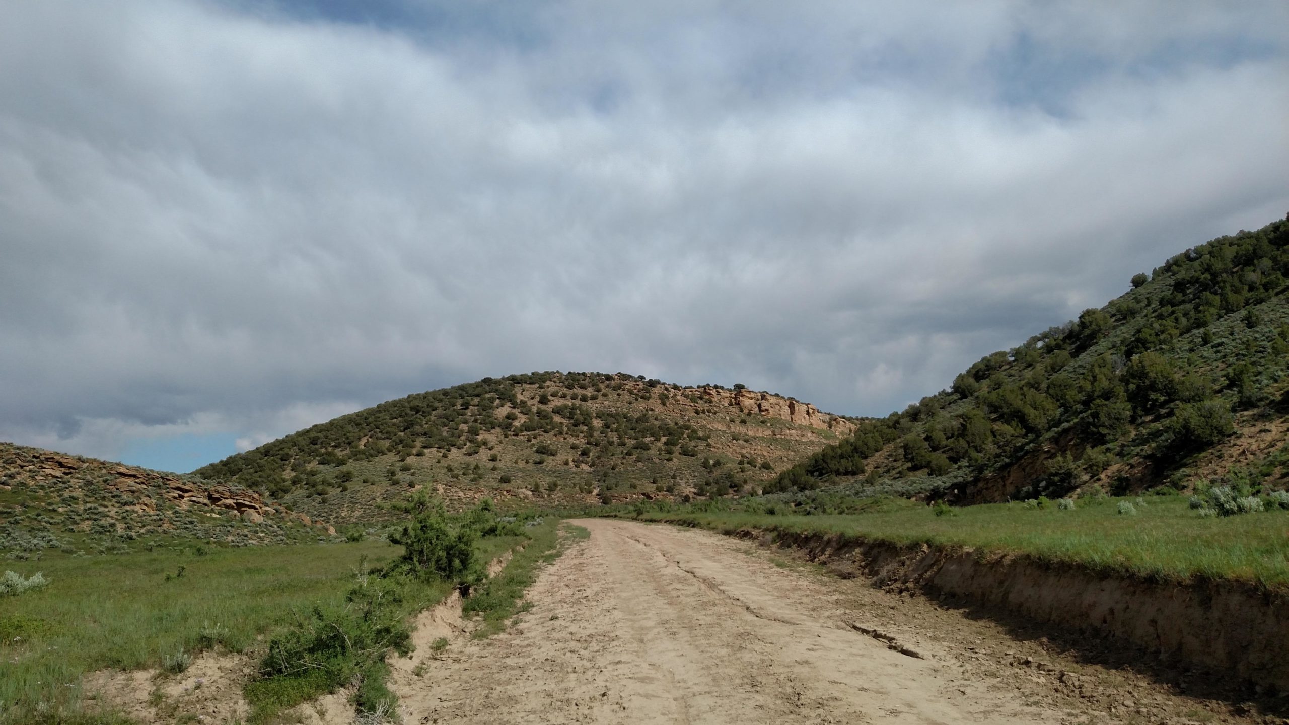 A dirt road winding through a grassy landscape, flanked by rolling hills covered in shrubs and trees. The sky is cloudy, suggesting a mix of sun and potential rain over the tranquil scenery. Rio Blanco County Rd 131 mountain bike trail.
