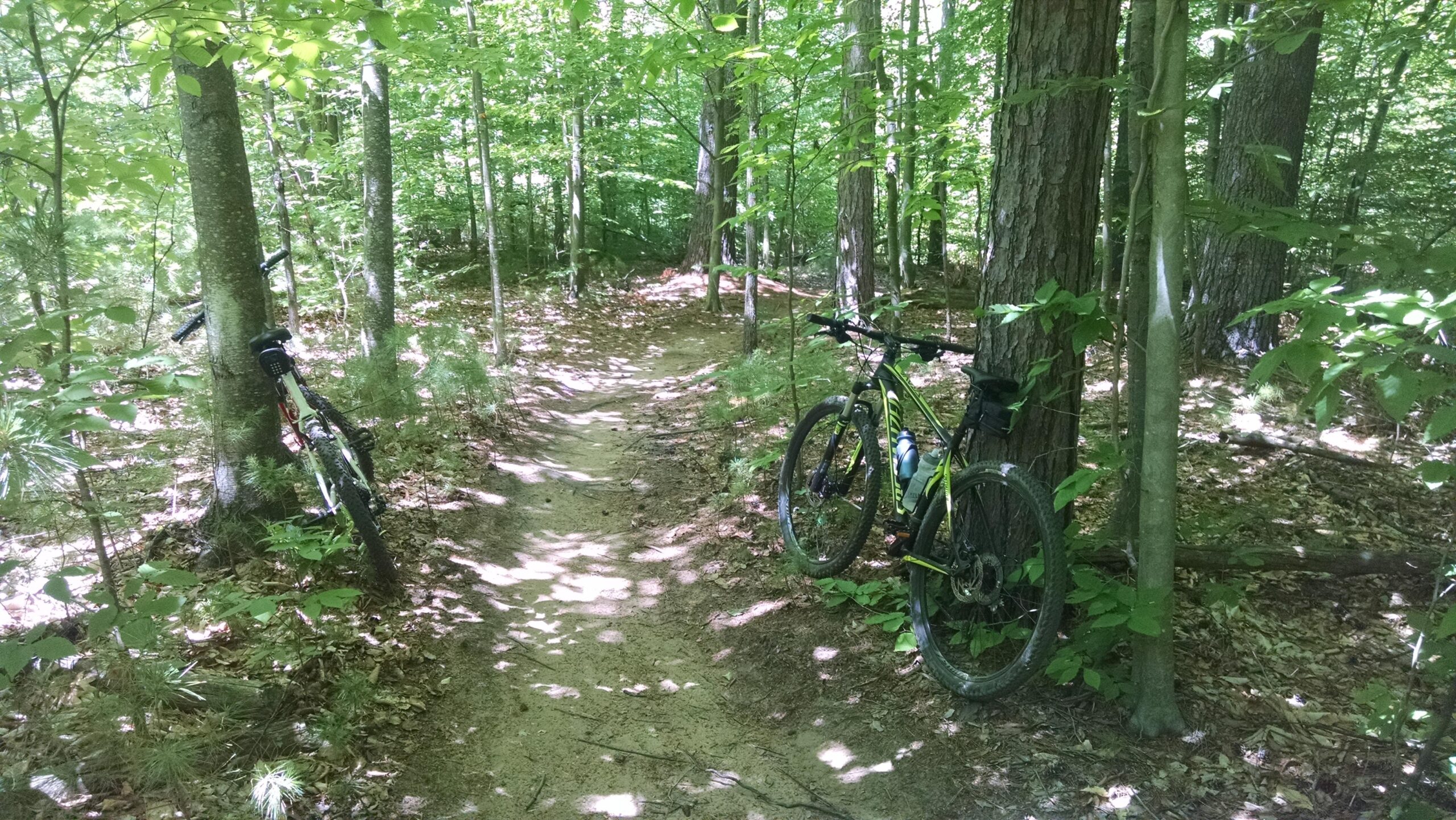 Luther Forest Mountain Bike Trail in Malta, New York Directions, Maps, Photos, and Reviews
