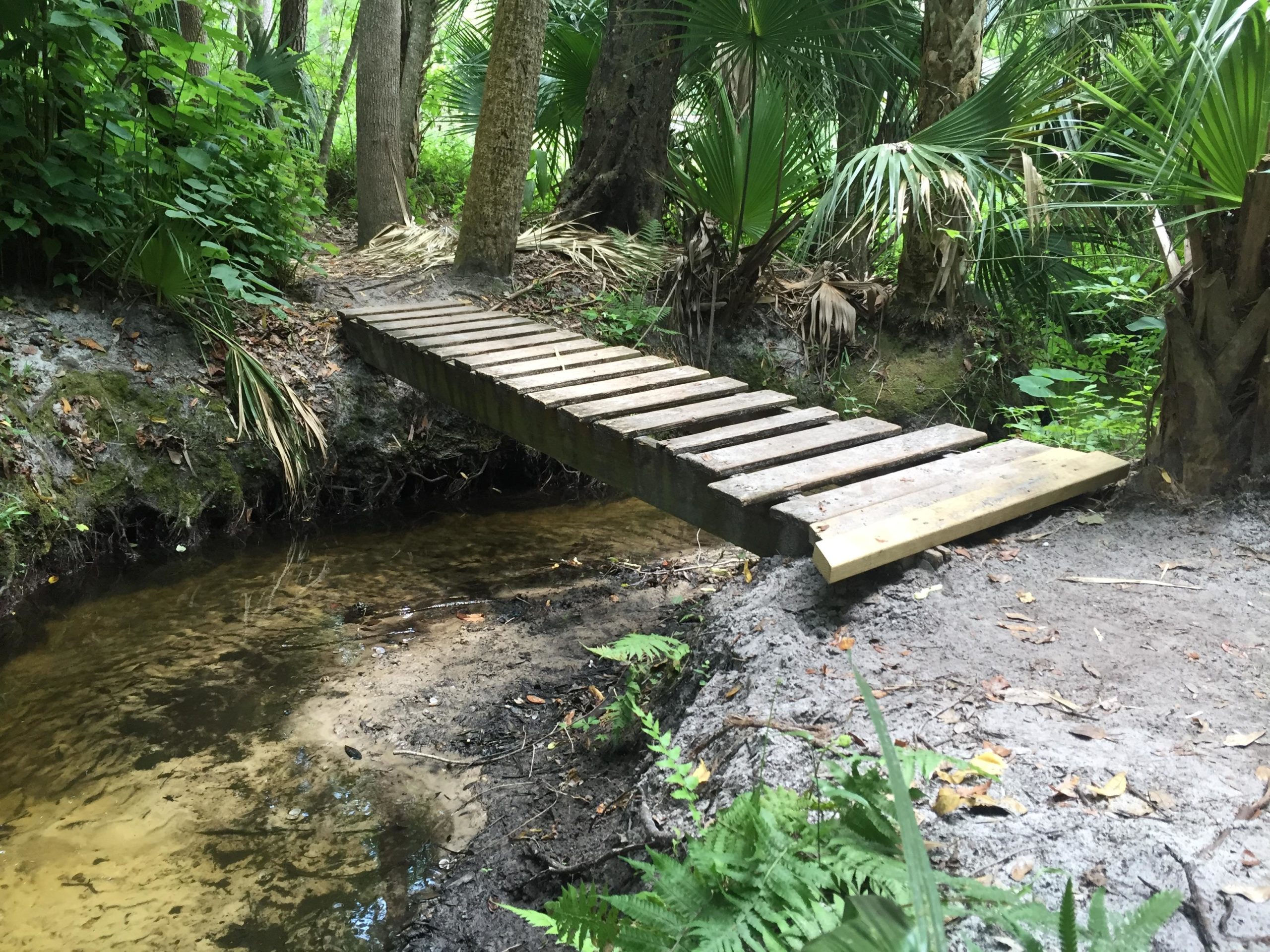 A wooden bridge crossing a small, shallow stream surrounded by lush greenery and tropical plants. The area features sandy soil on one side and water on the other, with various ferns and palm leaves visible in the background. Soldier Creek Park mountain bike trail.