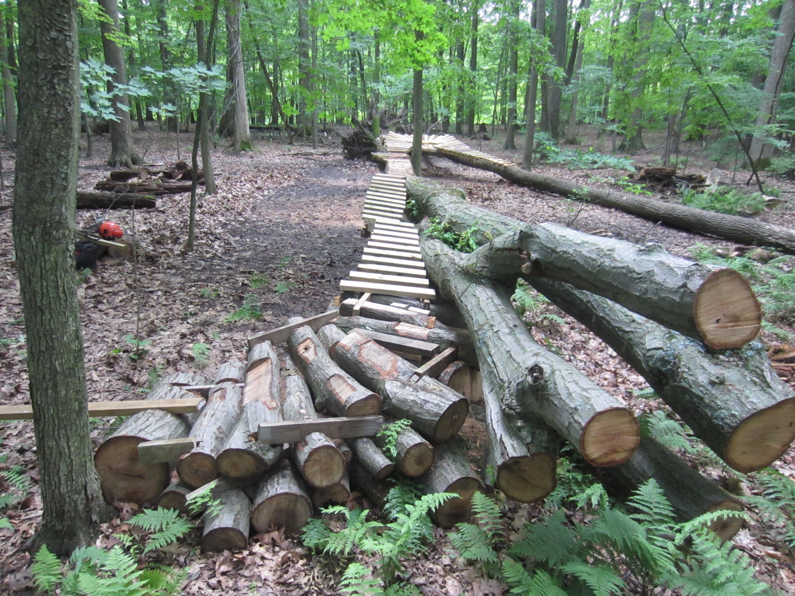 A wooden path constructed from planks crosses a forest floor covered in fallen leaves and ferns, with stacked logs and downed tree trunks on either side. The lush greenery of the trees provides a natural backdrop, indicating a serene woodland setting. Burchfield mountain bike trail.