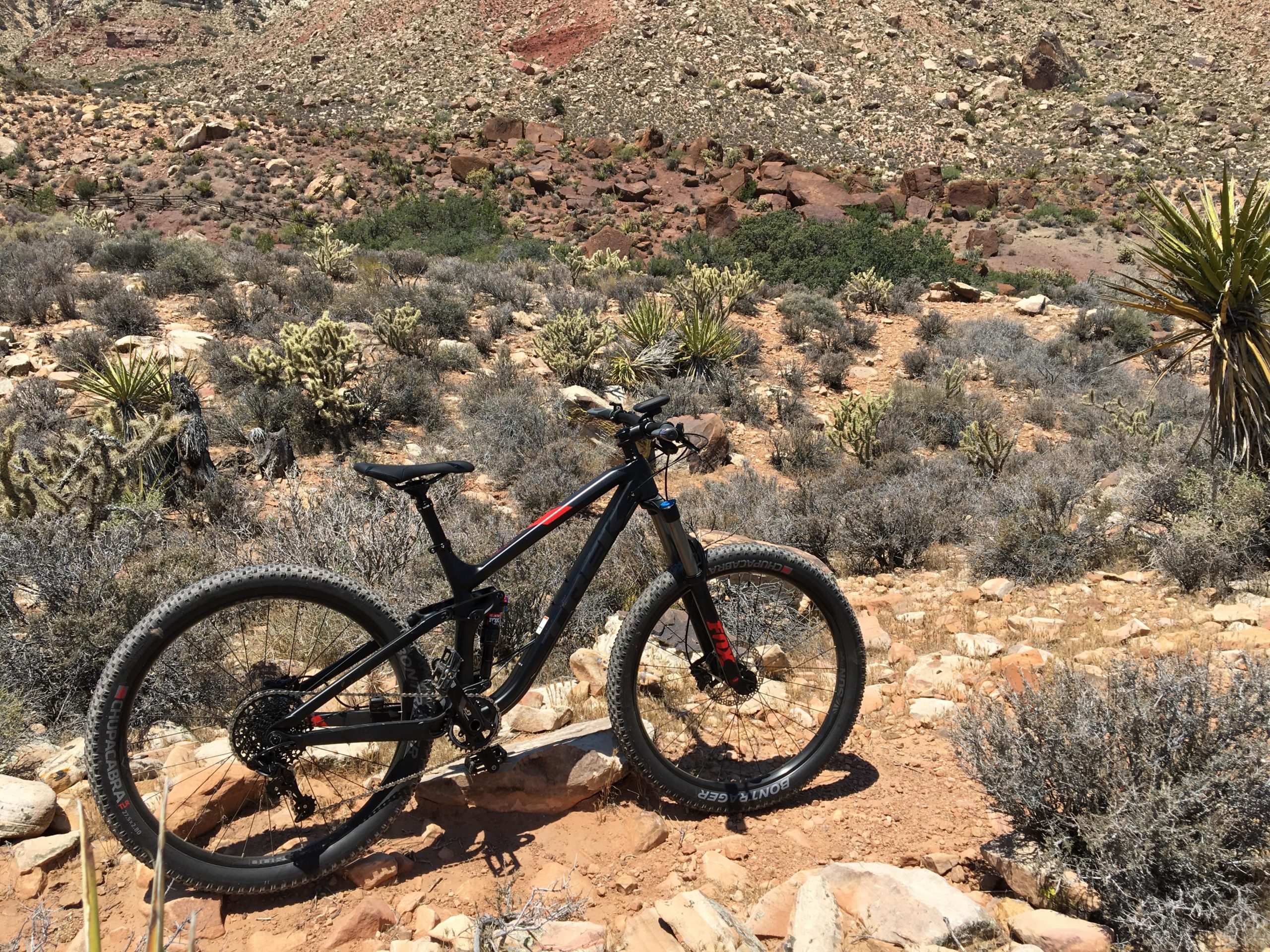 A mountain bike is parked on a rocky trail surrounded by desert vegetation, including cacti and shrubs, with a backdrop of colorful rocky hills. The scene captures the rugged, natural terrain ideal for off-road cycling. Cottonwood Valley North mountain bike trail.
