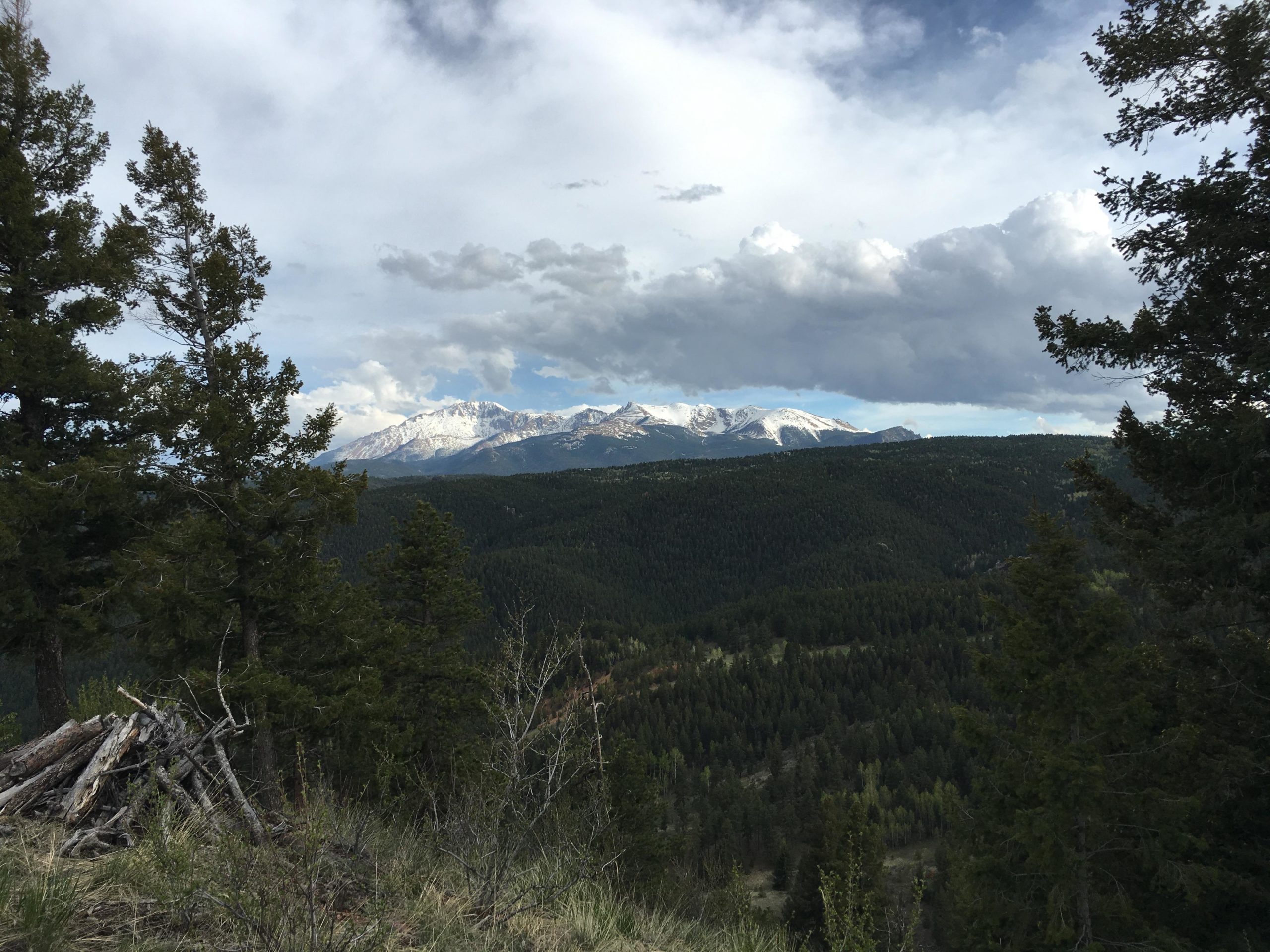 A scenic view of snow-capped mountains set against a backdrop of cloudy skies, with lush green forests and coniferous trees in the foreground. Aspen Valley Ranch - Loops mountain bike trail.