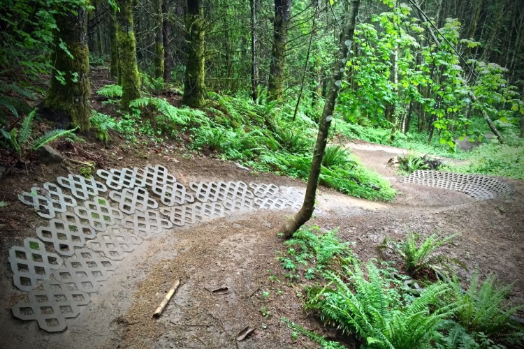 A winding dirt trail in a lush green forest, featuring sections of patterned plastic sheeting laid out along the path. Surrounding the trail are tall trees and vibrant ferns, creating a natural and serene environment.