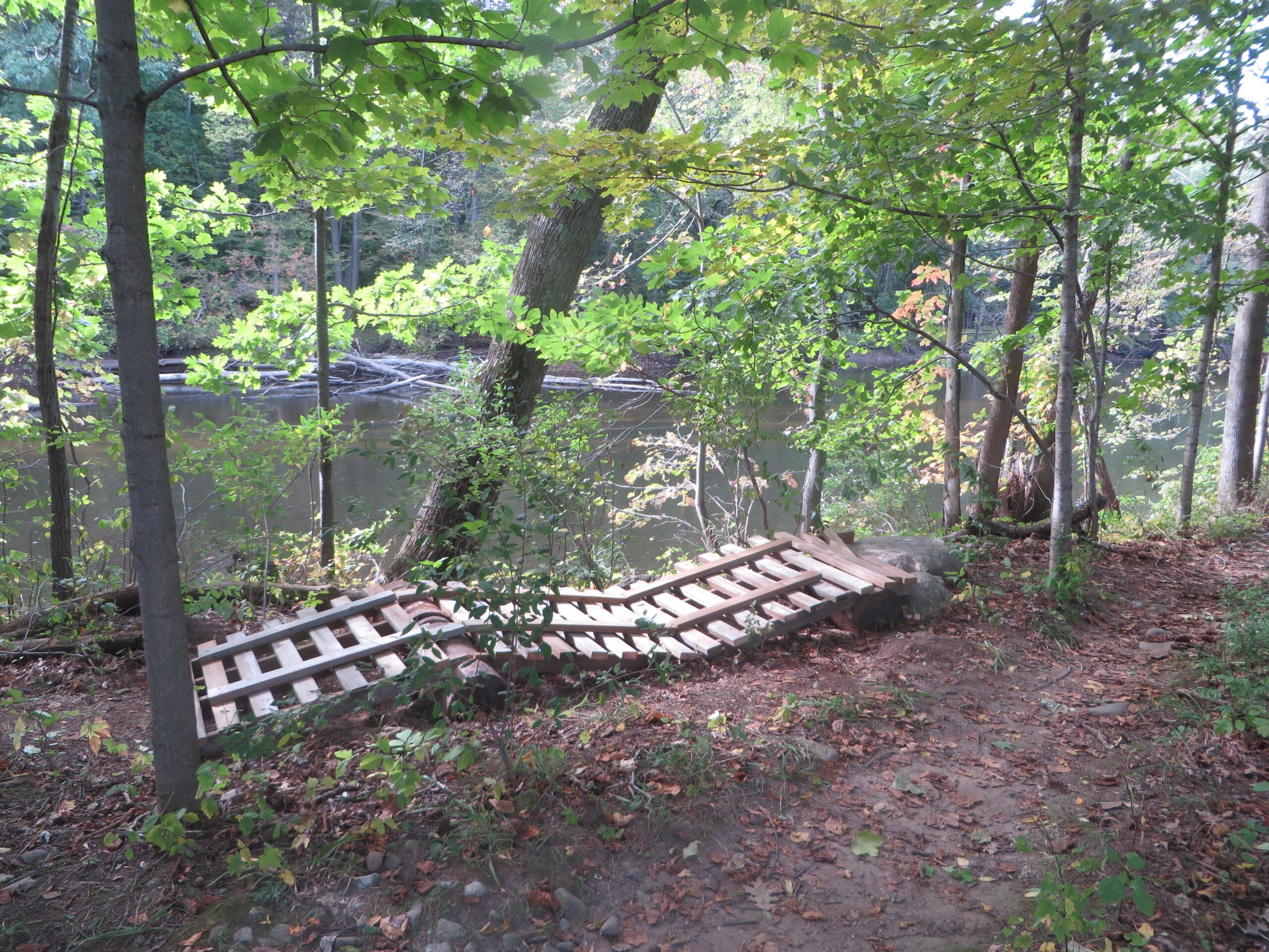 A wooden structure partially submerged in a forested area, with trees and green leaves surrounding it. A calm body of water is visible in the background, reflecting the natural landscape. The ground is covered with fallen leaves and dirt, indicating a serene outdoor setting. Burchfield mountain bike trail.