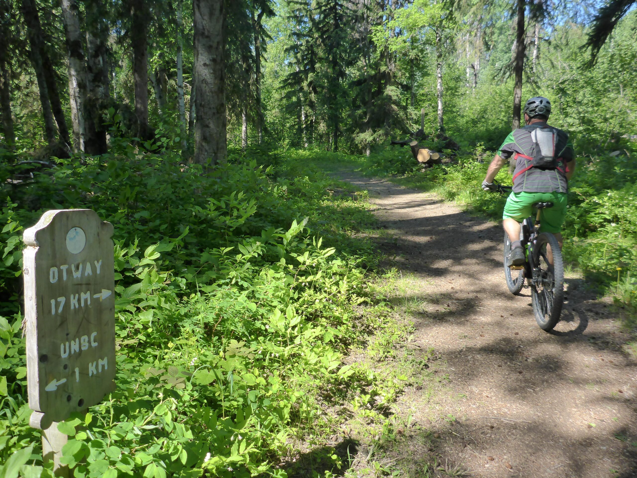 A cyclist riding a mountain bike along a dirt trail in a lush, green forest, with a wooden signpost indicating distances to Otway (17 km) and UNBC (1 km). The scene is bright and sunny, showcasing trees and foliage surrounding the path. Cranbrook Hill Greenway mountain bike trail.