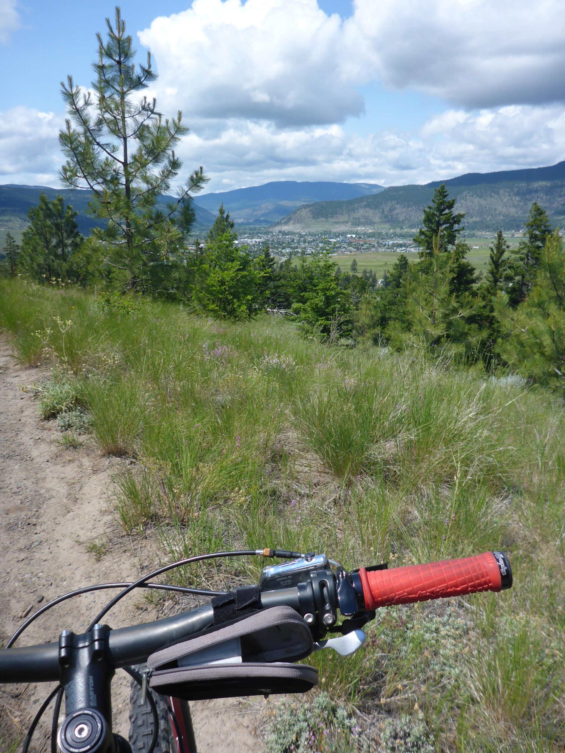 A mountain bike handlebar in the foreground, with a view of a green valley and mountains in the background under a partly cloudy sky. The scene captures a vibrant landscape with trees and gentle hills, conveying a sense of outdoor adventure and scenic beauty. Too Much Info Riding Area mountain bike trail.