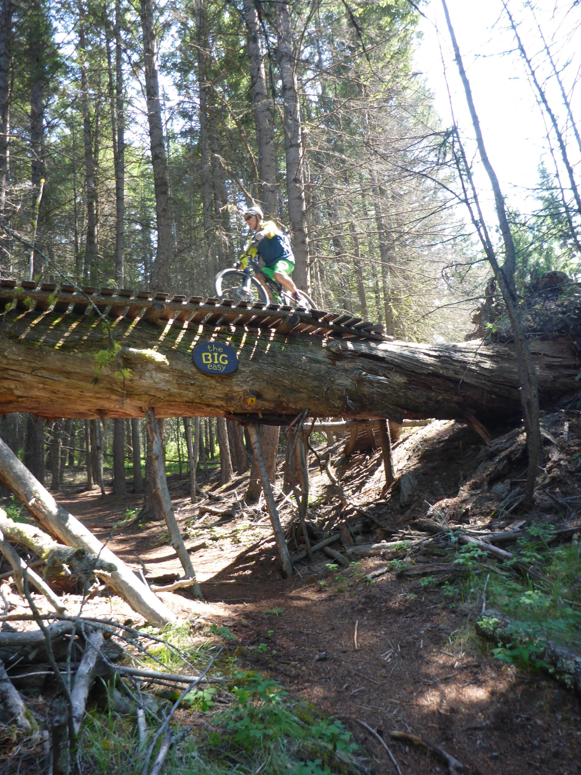 A mountain biker navigates a wooden plank bridge across a fallen log in a dense forest. Sunlight filters through the trees, illuminating the path below, while the trail is surrounded by greenery and scattered branches. A sign reading "the BIG easy" is visible on the log. Too Much Info Riding Area mountain bike trail.