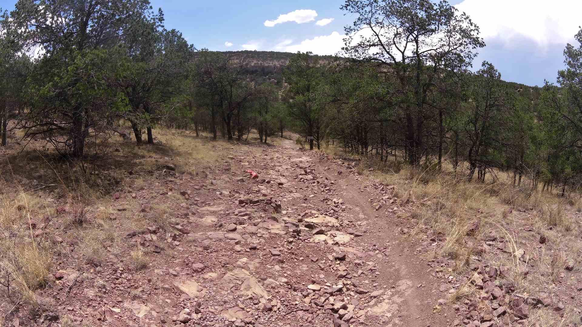 A rocky dirt trail winding through a forested area with scattered trees and dry grass, under a partly cloudy sky. EL POLITICO mountain bike trail.