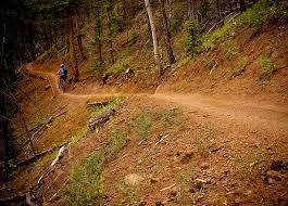 Pivot Mach 429SL Carbon: A mountain biker riding on a winding dirt trail through a dense forest, surrounded by trees and natural vegetation.