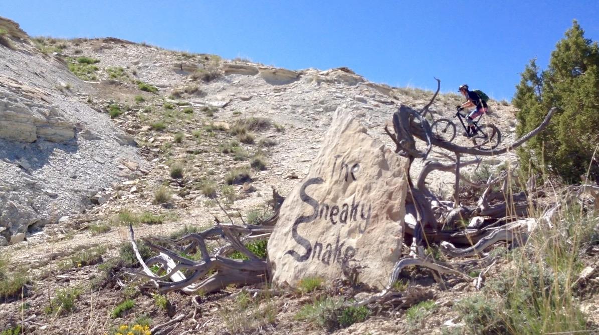 A mountain biker ascends a rocky slope with sparse vegetation under a clear blue sky. In the foreground, a large rock formation displays the name "The Sneaky Snake," surrounded by dry branches and grass. Tnt mountain bike trail.