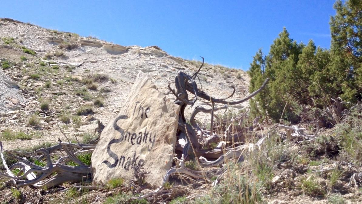 A large, flat rock in a natural landscape with the inscription "The Sneaky Snake." The rock is surrounded by dry grass, scattered vegetation, and twisted branches, set against a backdrop of slopes and clear blue skies. Tnt mountain bike trail.