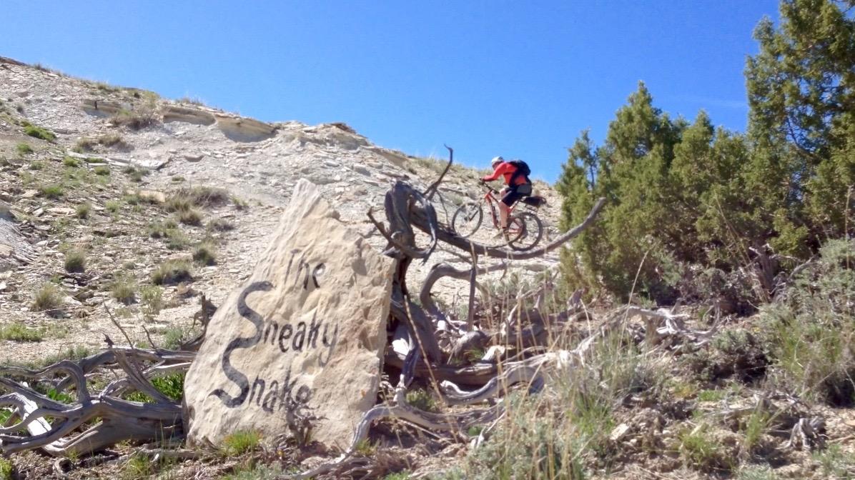 A mountain biker rides up a rocky incline with blue sky in the background. In the foreground, a large rock is etched with the words "The Sneaky Snake," surrounded by dry brush and green vegetation. Tnt mountain bike trail.