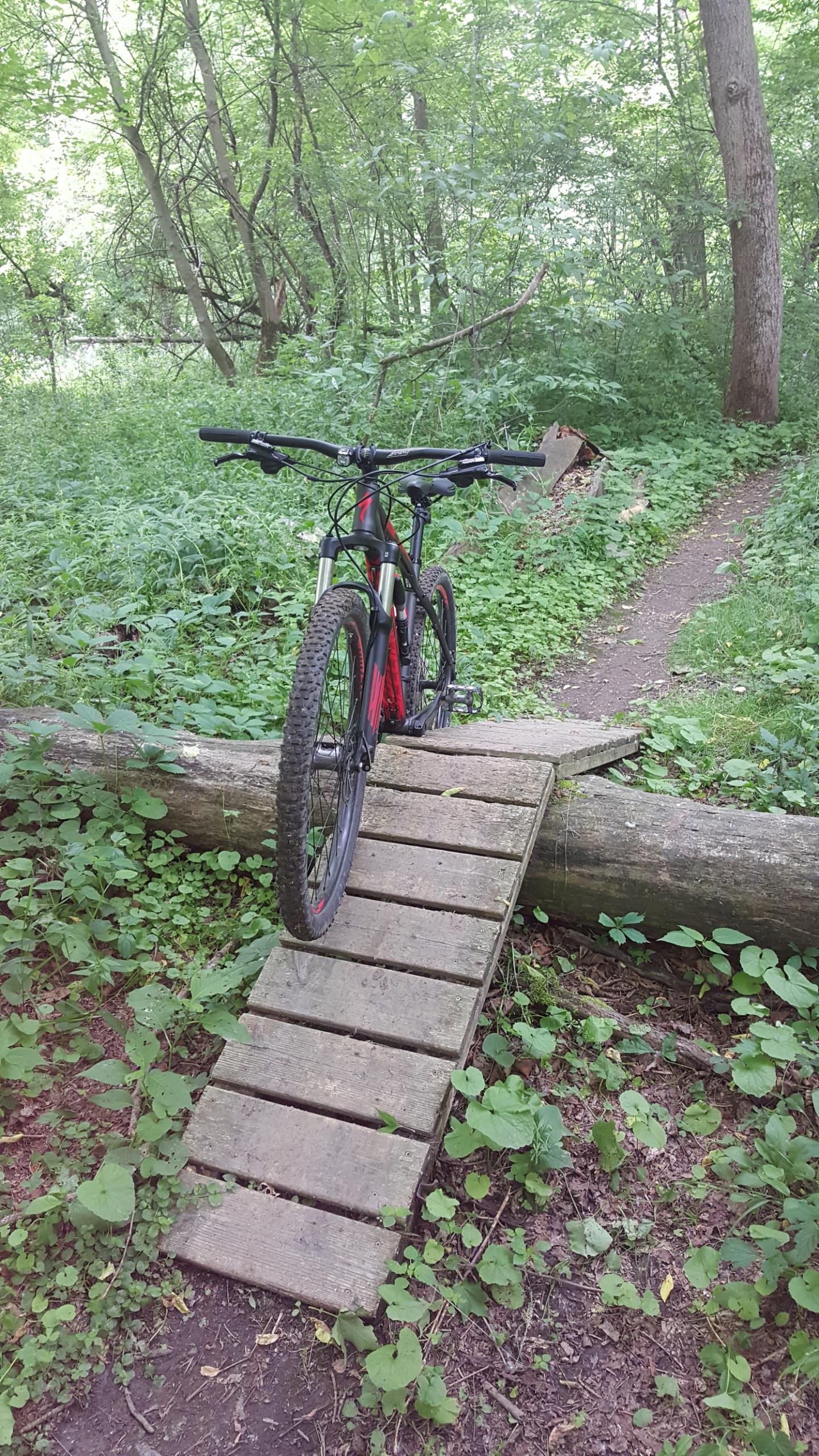 A mountain bike positioned on a wooden ramp, crossing a log. Surrounding vegetation includes lush green plants and trees, with a narrow dirt path visible in the background. The scene is set in a wooded area, showcasing a tranquil natural environment. Morton-Taylor Trail mountain bike trail.