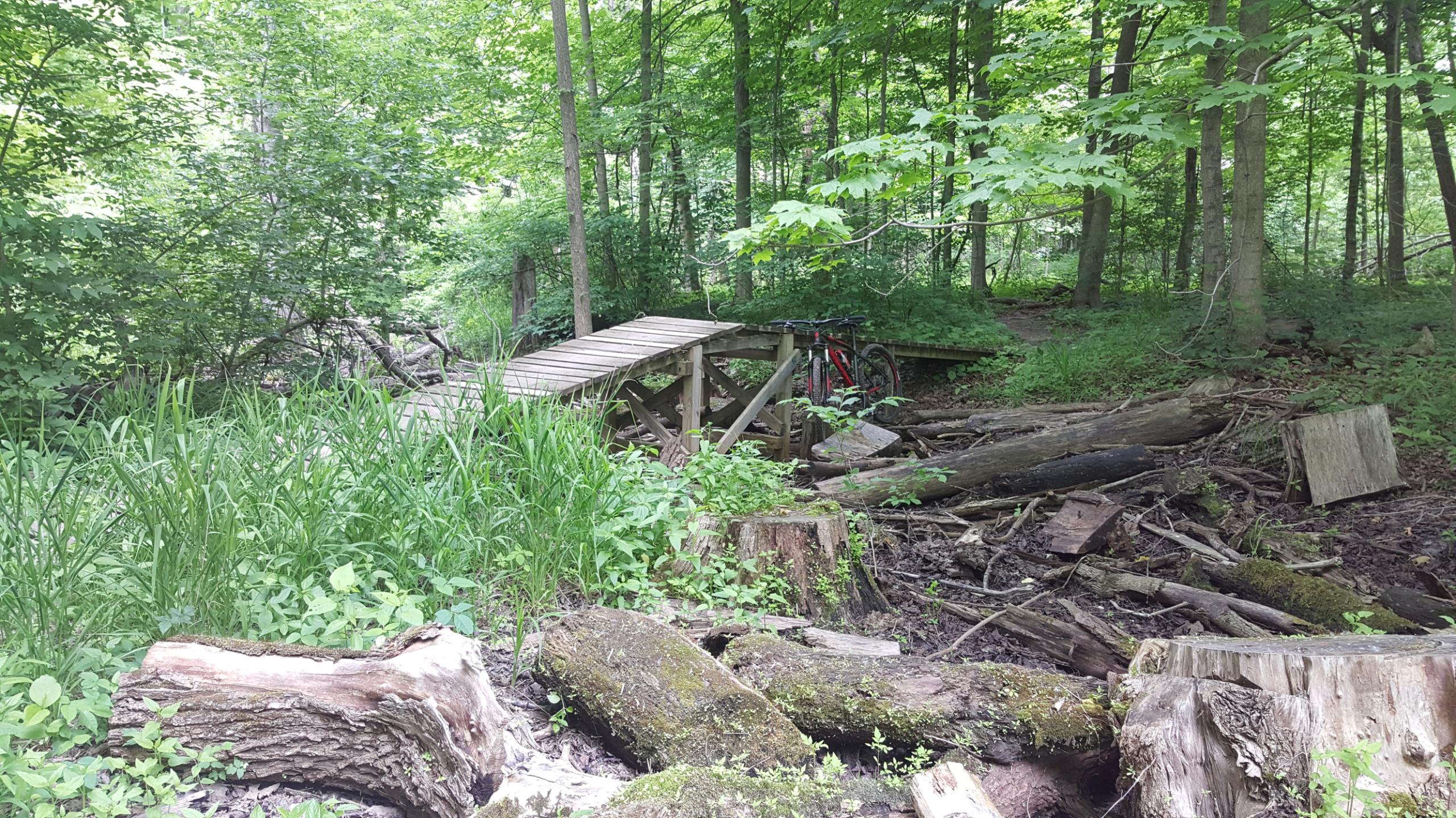 A wooden bridge spans a small creek surrounded by lush green vegetation in a forest. In the background, a bike is leaning against the side of the bridge, with fallen logs and tree stumps scattered on the ground. The scene conveys a peaceful, natural setting perfect for outdoor activities. Morton-Taylor Trail mountain bike trail.