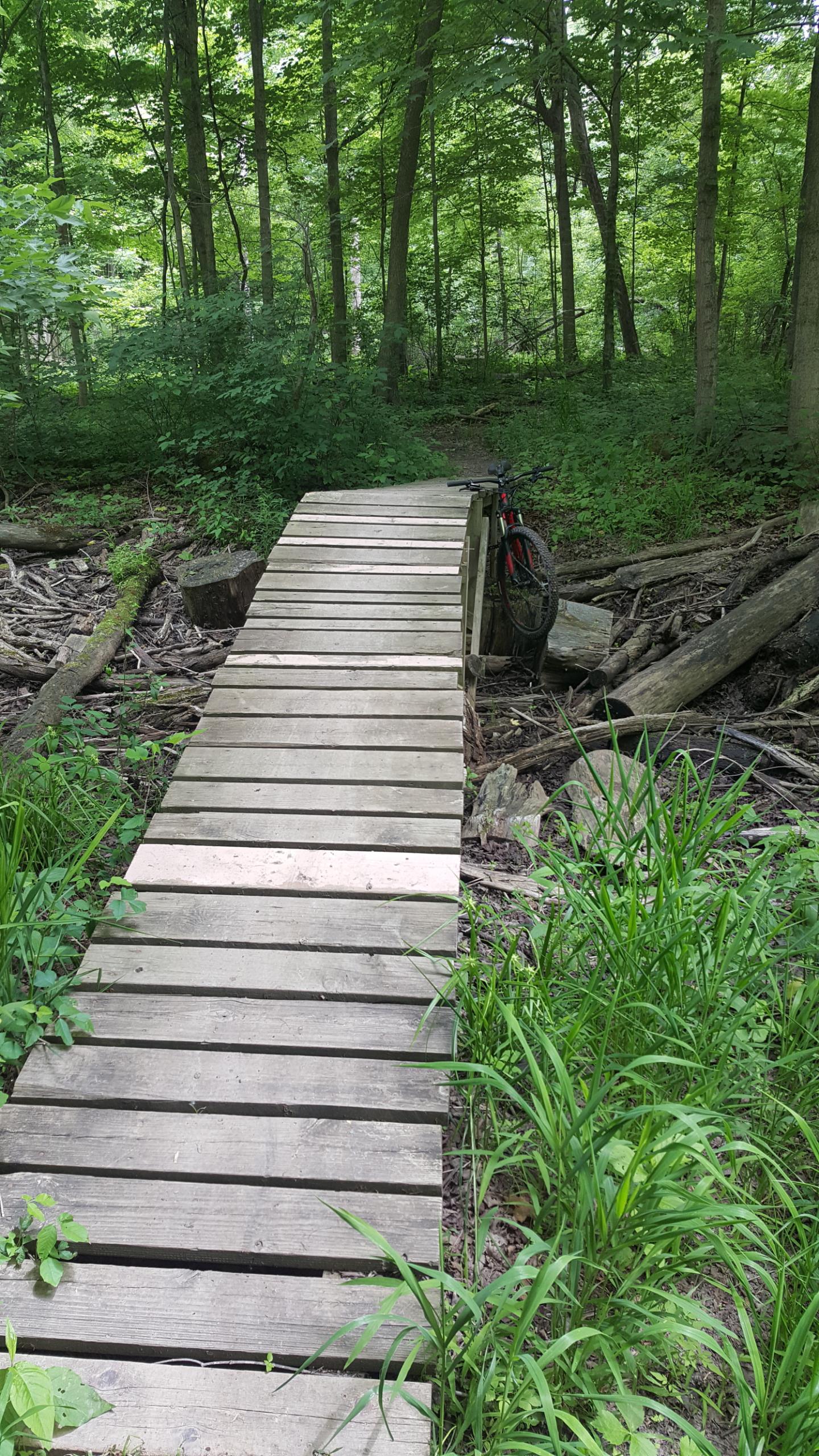A wooden footbridge in a lush, green forest, surrounded by trees and tall grass. A bicycle is leaning against the side of the bridge, with various natural debris scattered around. Morton-Taylor Trail mountain bike trail.