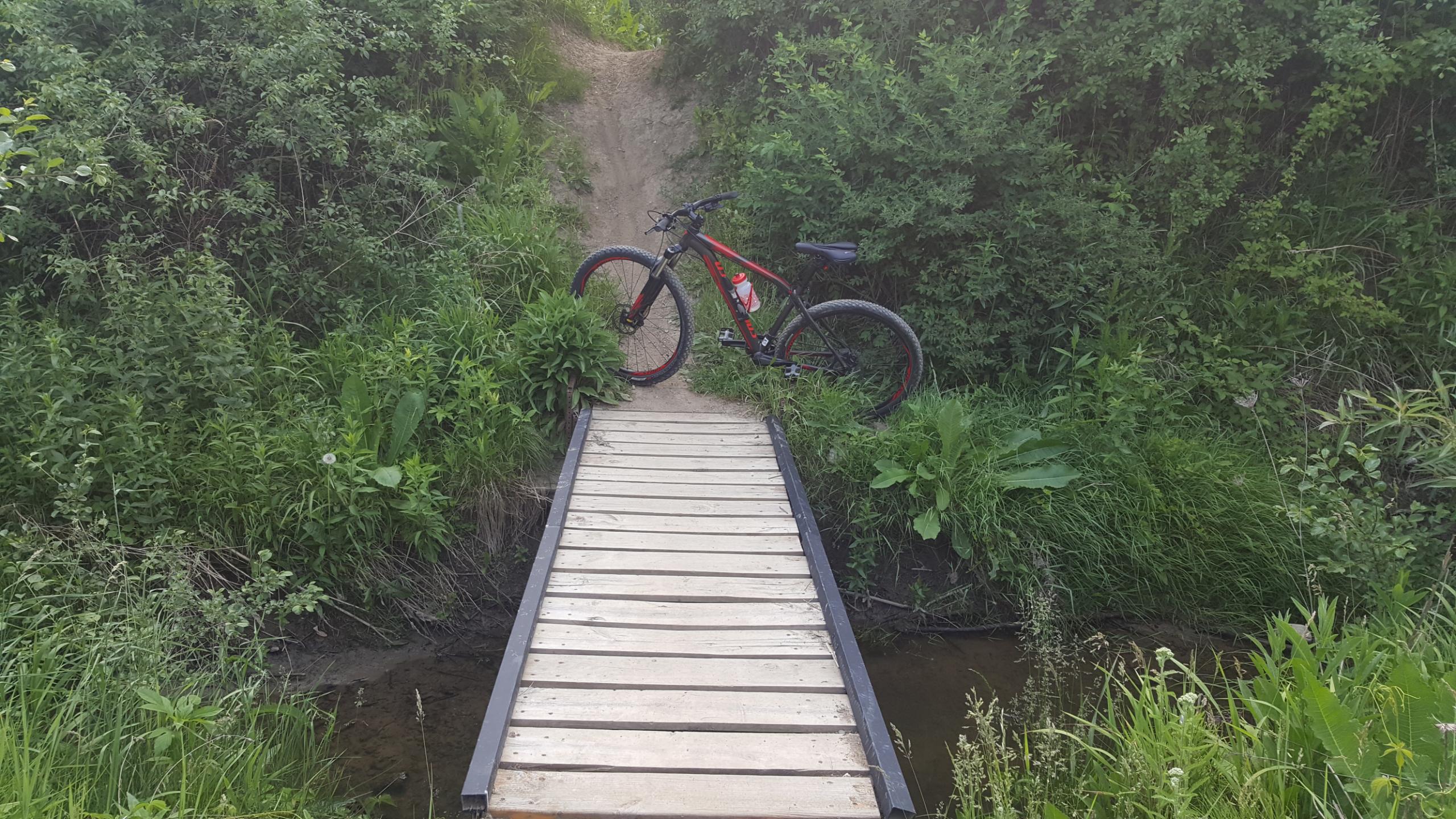 A mountain bike rests on a wooden bridge crossing a small stream, surrounded by lush green vegetation and bushes. A dirt path leads up from the bridge, indicating an outdoor trail. Morton-Taylor Trail mountain bike trail.