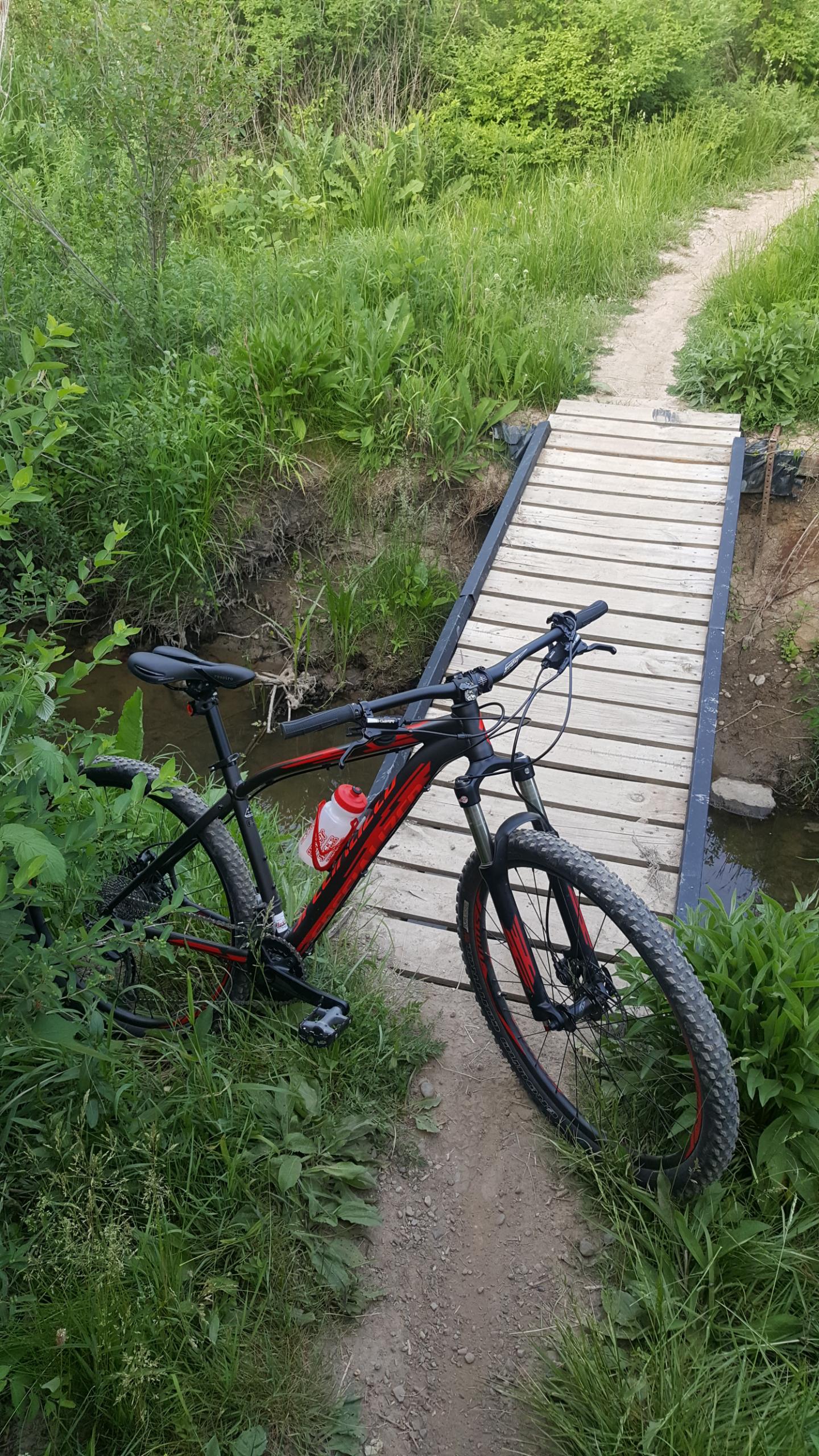 A black and red mountain bike leaning against a grassy area next to a wooden footbridge crossing a small creek. The scene is surrounded by lush green foliage and a dirt path leading into the distance. Morton-Taylor Trail mountain bike trail.