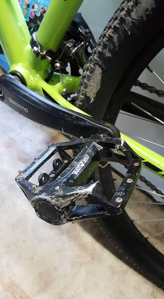 Close-up image of a black bicycle pedal attached to a green bike frame, showing some dirt on the pedal and gear system. The background features a bike tire and part of the bike's drivetrain. Nine Mile mountain bike trail.